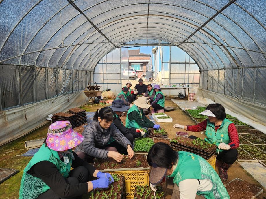 당진시 신평면 새마을지도자·부녀회, 봄꽃 모종 이식으로 아름다운 마을 가꾸기 앞장 이미지