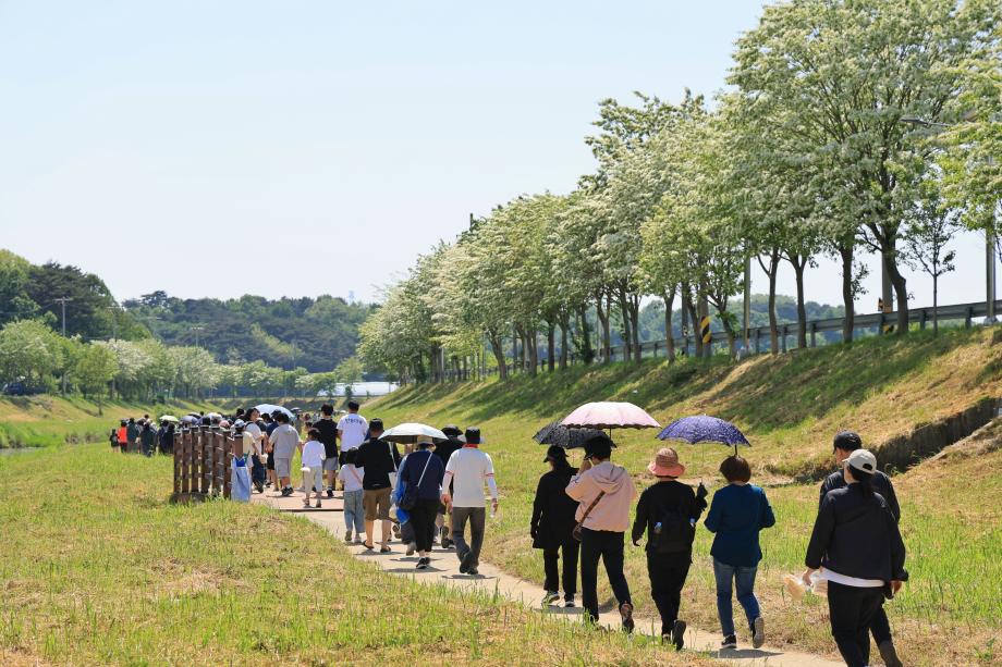 당진시, 제7회 이팝나무길 걷기행사 성료 이미지