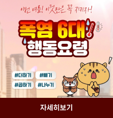 이번 여름! 이것만은 꼭 지키자!
#더하기 #빼기 #곱하기 #나누기
자세히보기