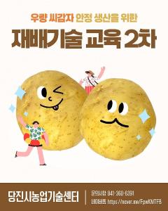 당진시, 가을재배용 건전 씨감자(추백) 공급 및 재배기술 교육 실시