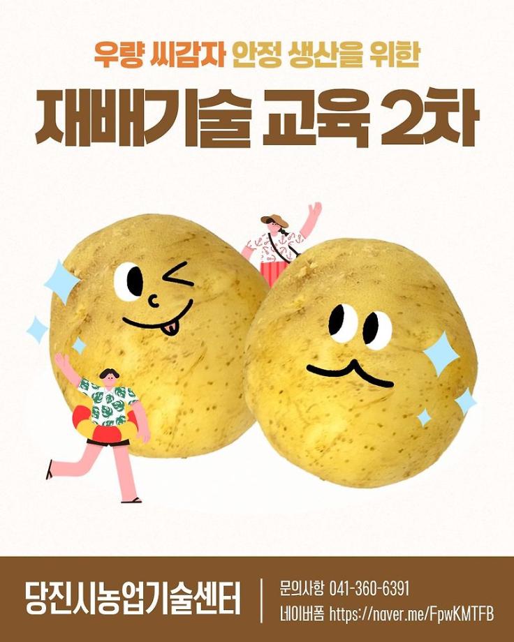 당진시, 가을재배용 건전 씨감자(추백) 공급 및 재배기술 교육 실시 이미지