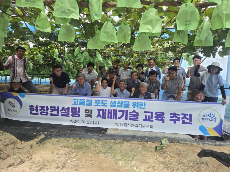 당진시, 고품질 포도 생산을 위한 현장 컨설팅·재배기술 교육 추진 이미지