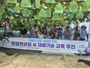 당진시, 고품질 포도 생산을 위한  현장컨설팅 · 재배기술 교육 추진