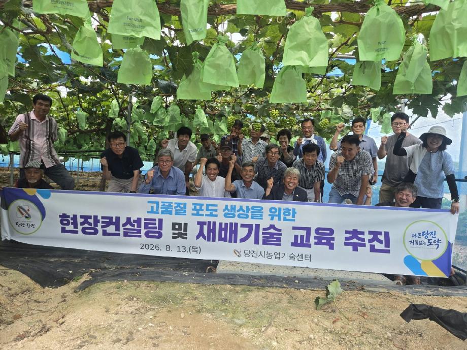 당진시, 고품질 포도 생산을 위한  현장컨설팅 · 재배기술 교육 추진 이미지