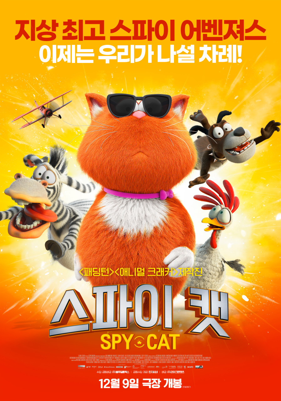 스파이 캣 이미지