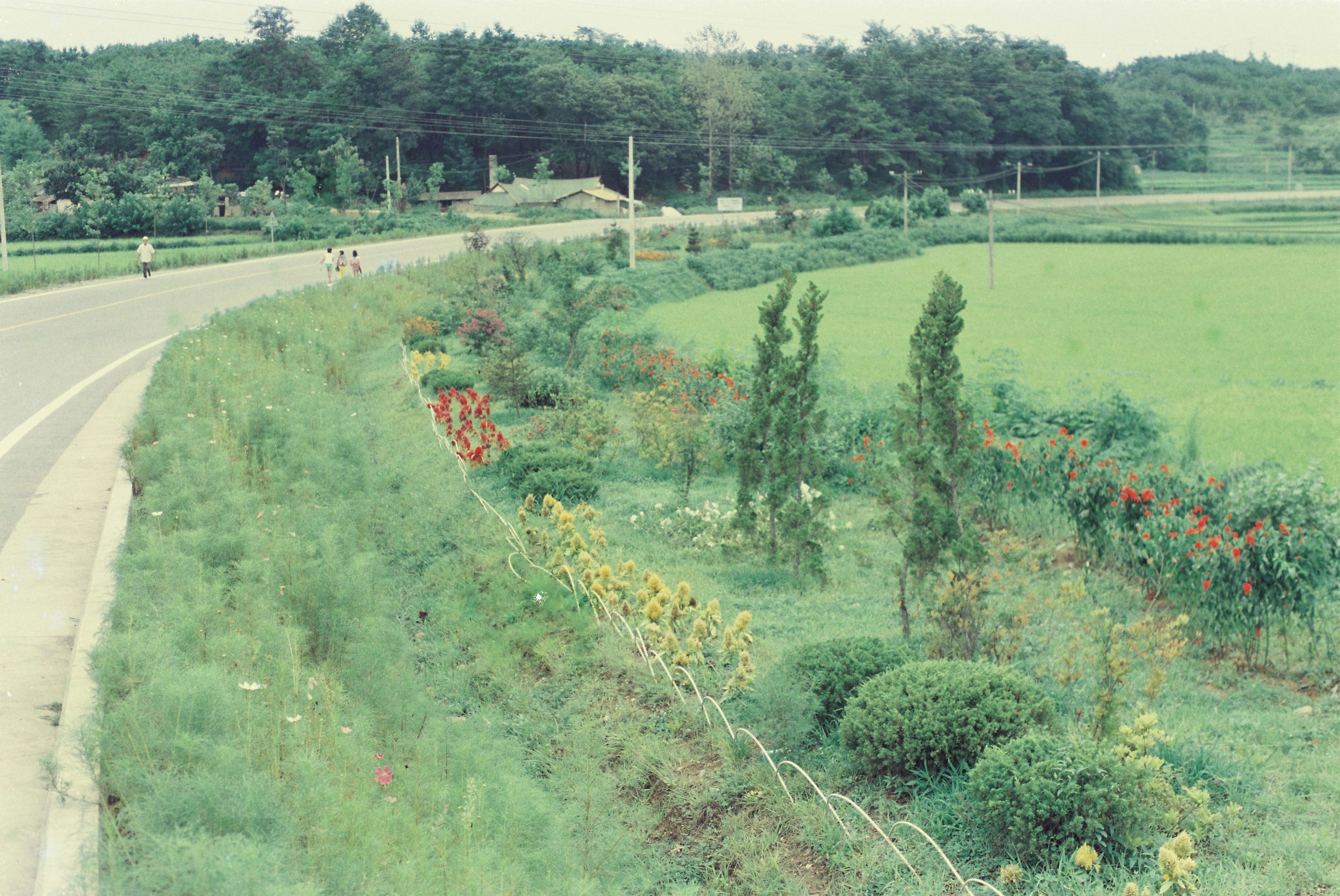 사진자료(1980년대)/1983/꽃동산 2/