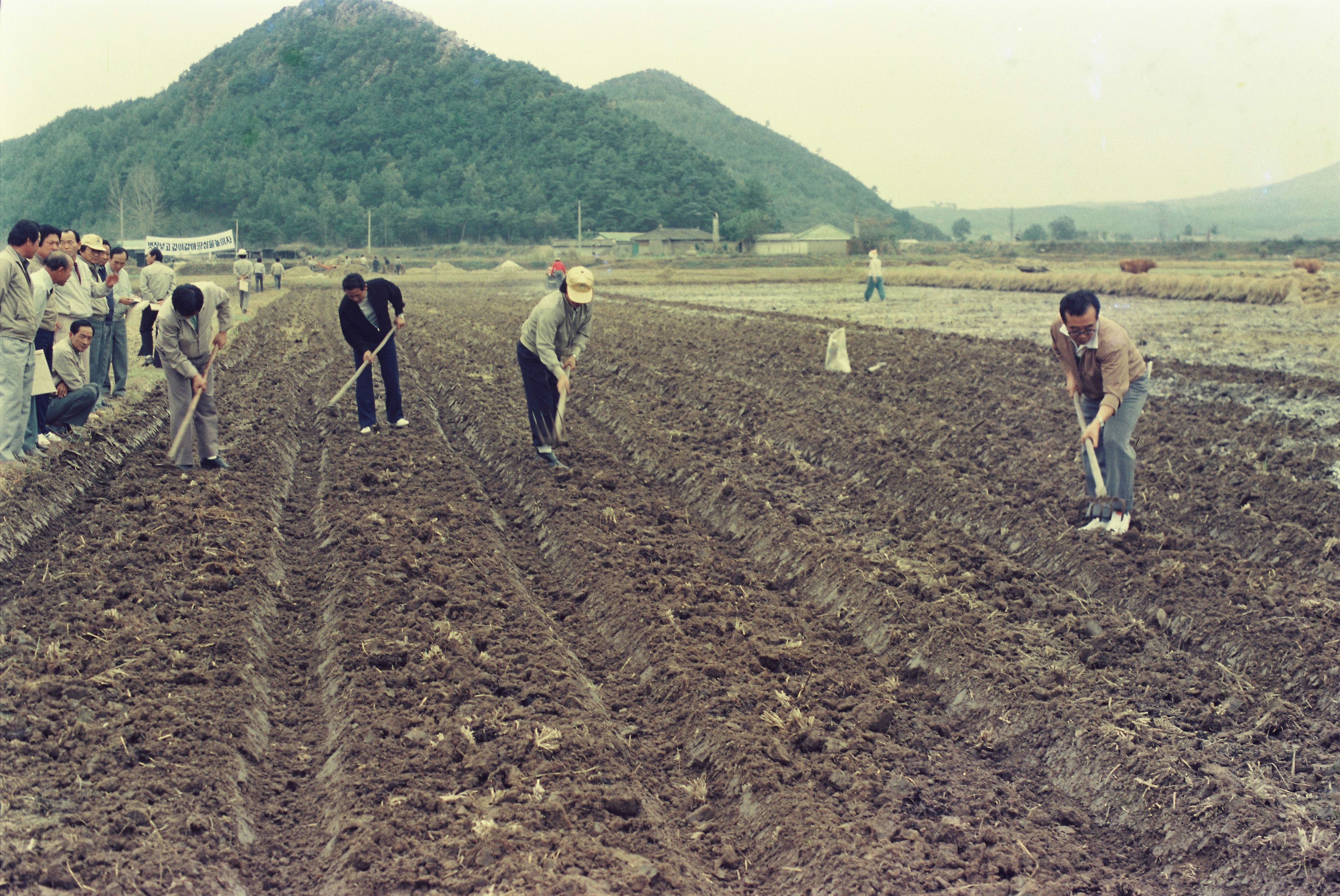 사진자료(1980년대)/1983/보리파종 및 농토배양 연시회 0/