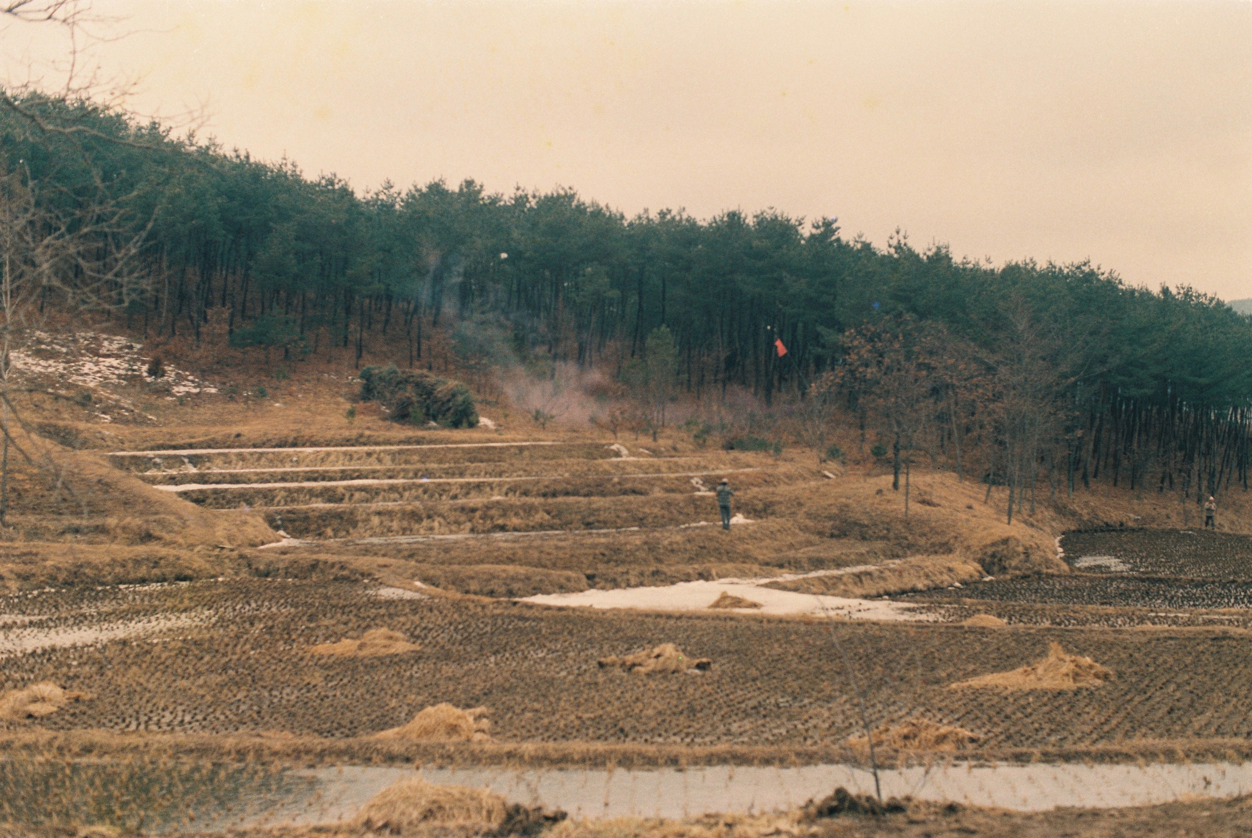 사진자료(1980년대)/1983/산림방제 1/