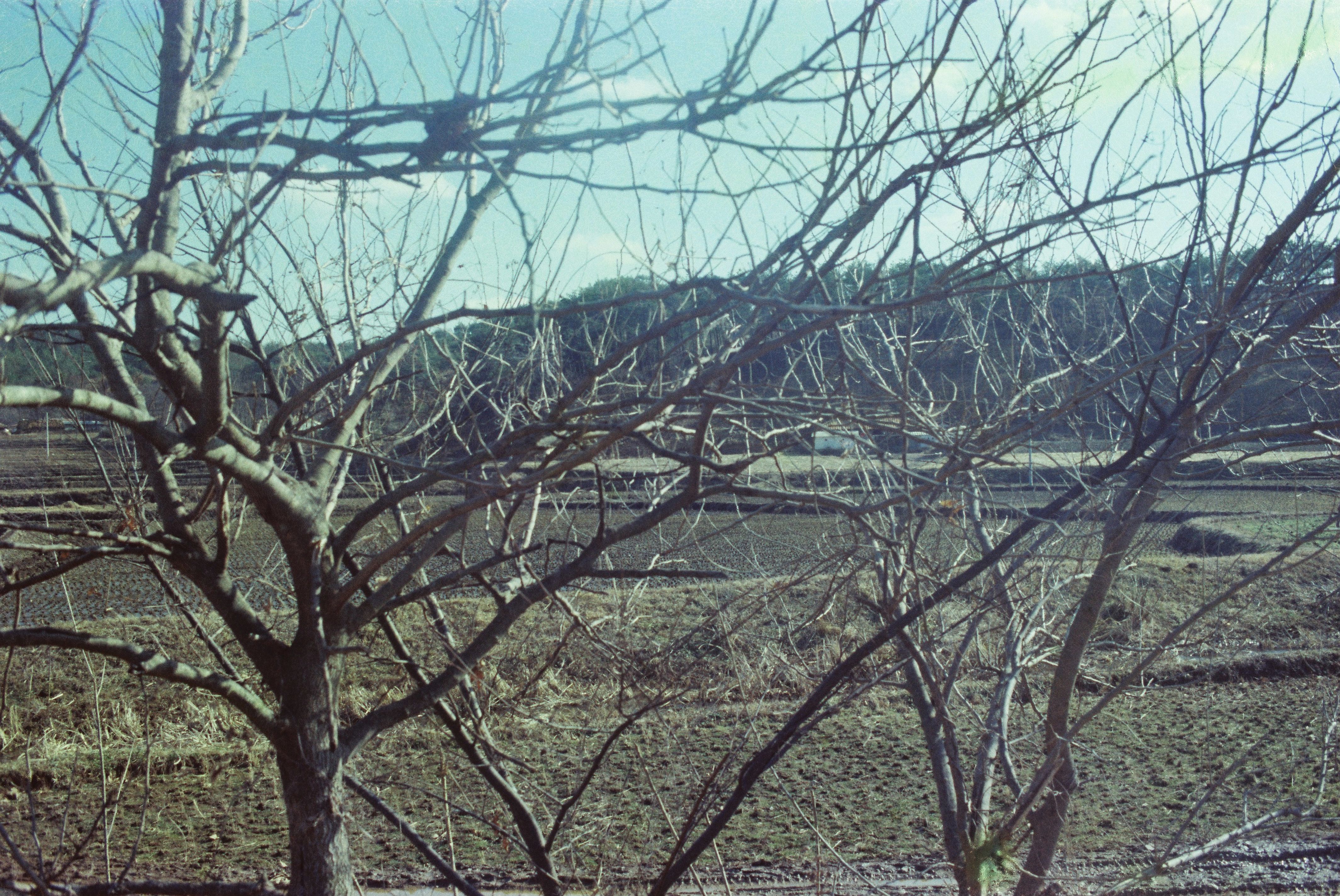 사진자료(1980년대)/1984/농민후계자 간담회 8/