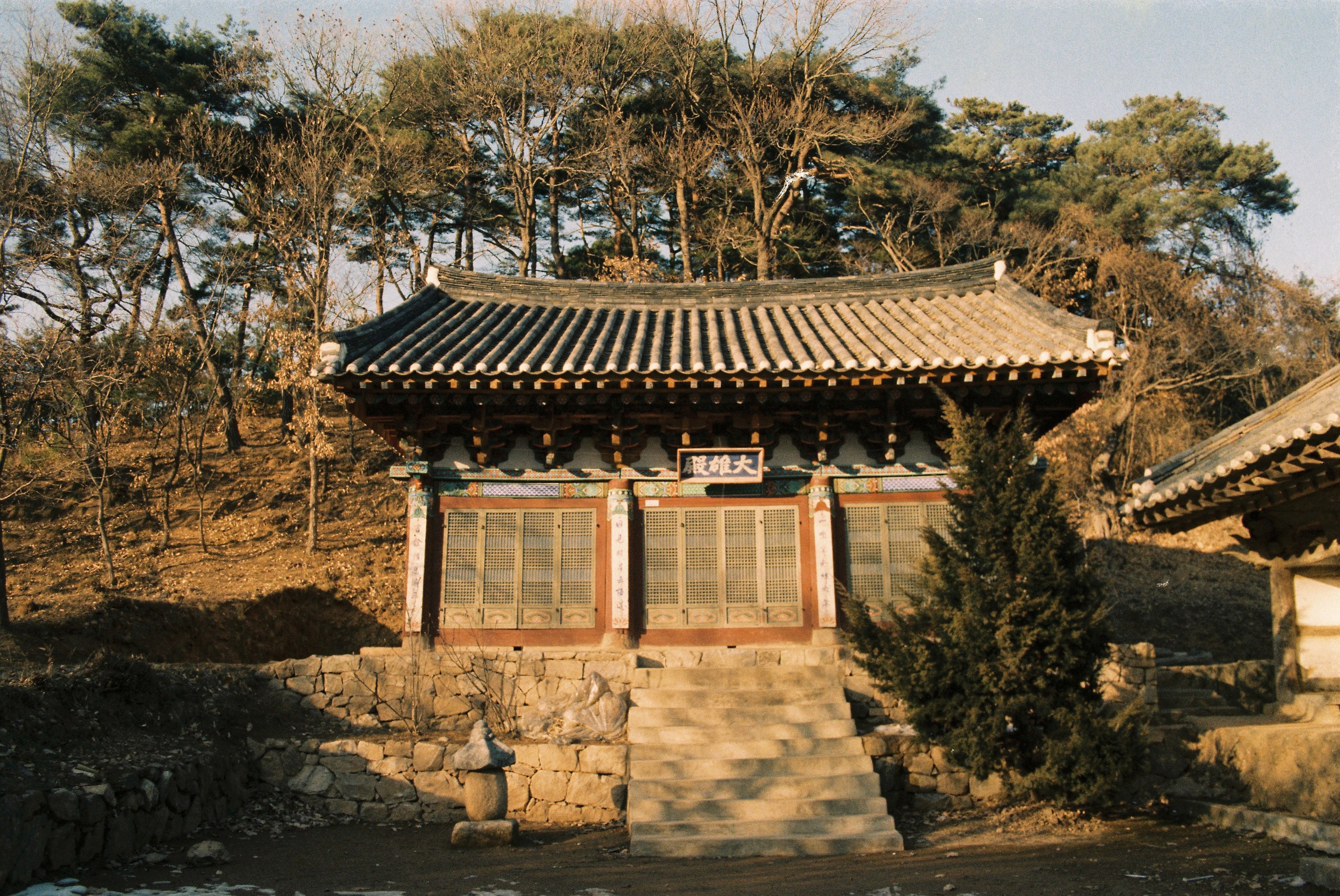 사진자료(1980년대)/1984/영랑사 0/