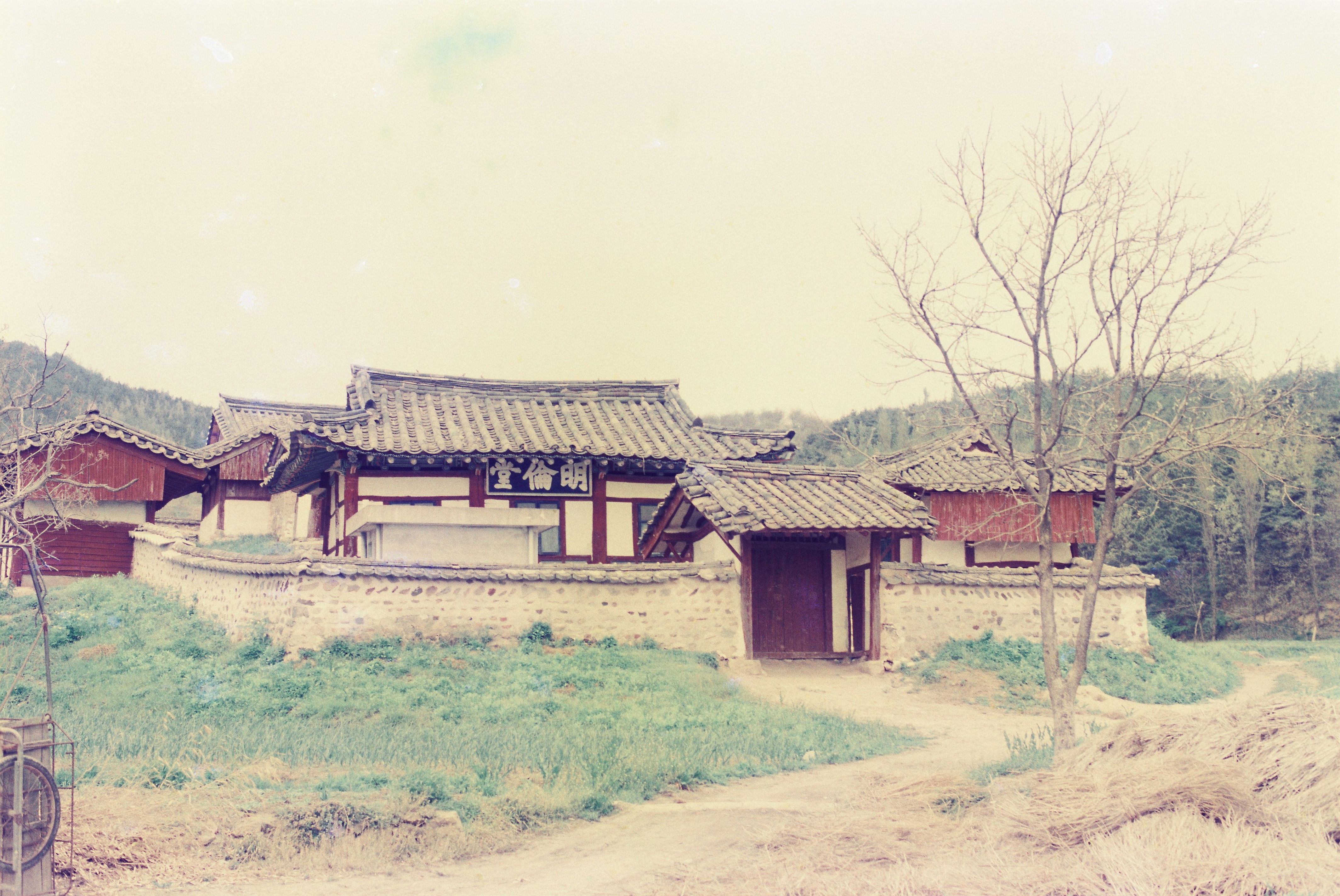 사진자료(1980년대)/1984/사찰 0/