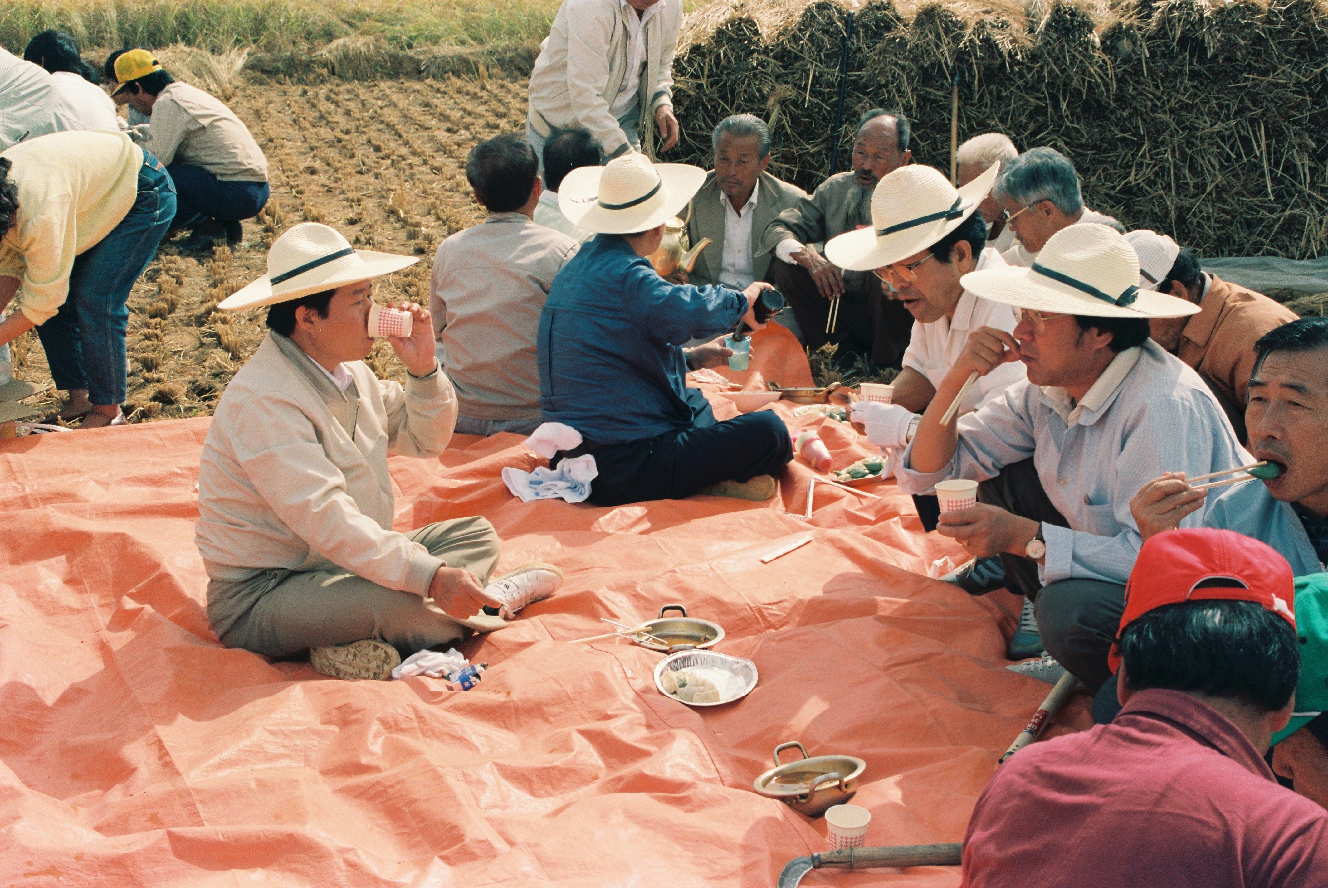 사진자료(1980년대)/1987/농번기 노력지원① 1/