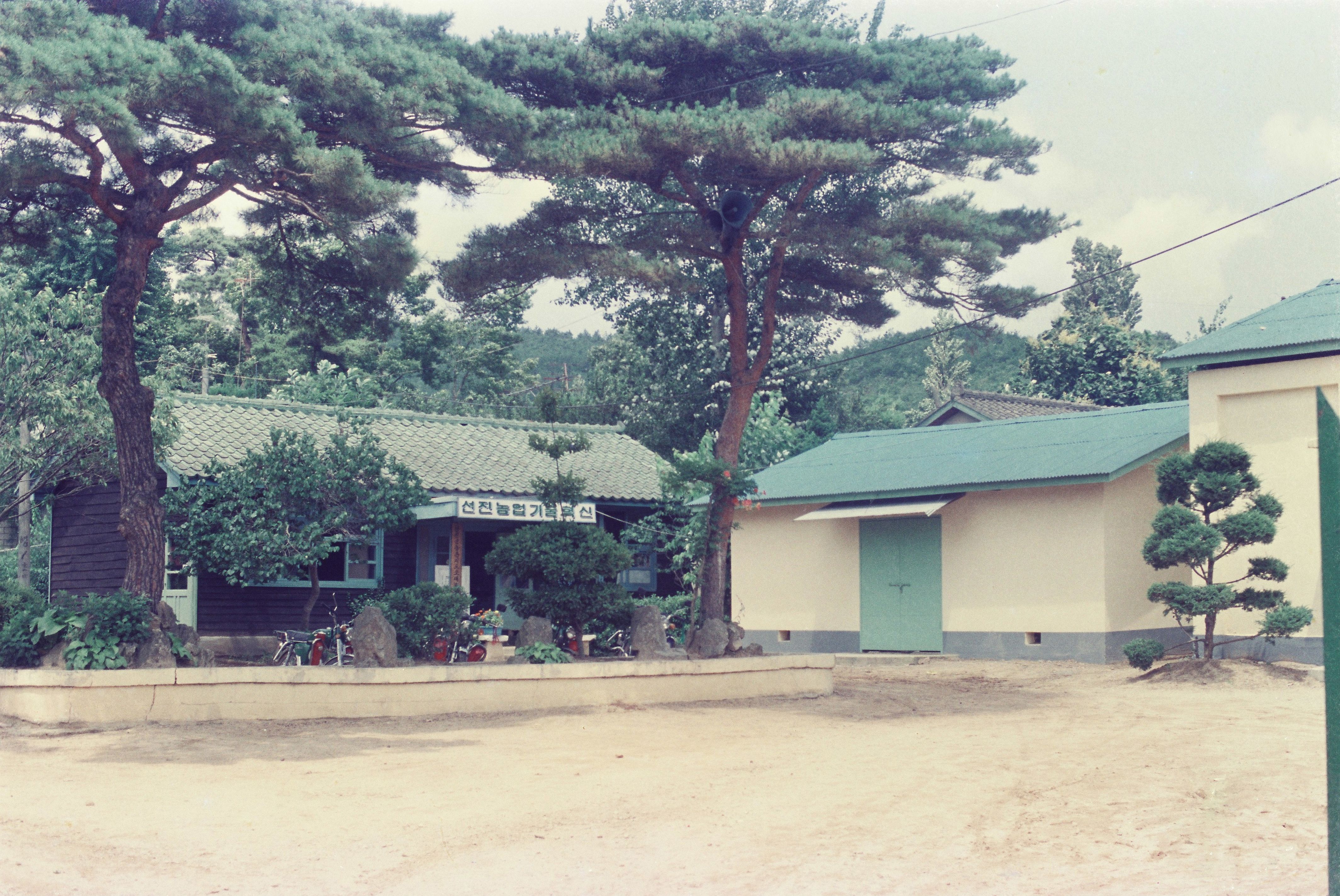 사진자료(1980년대)/1985/대호지 면사무소 0/