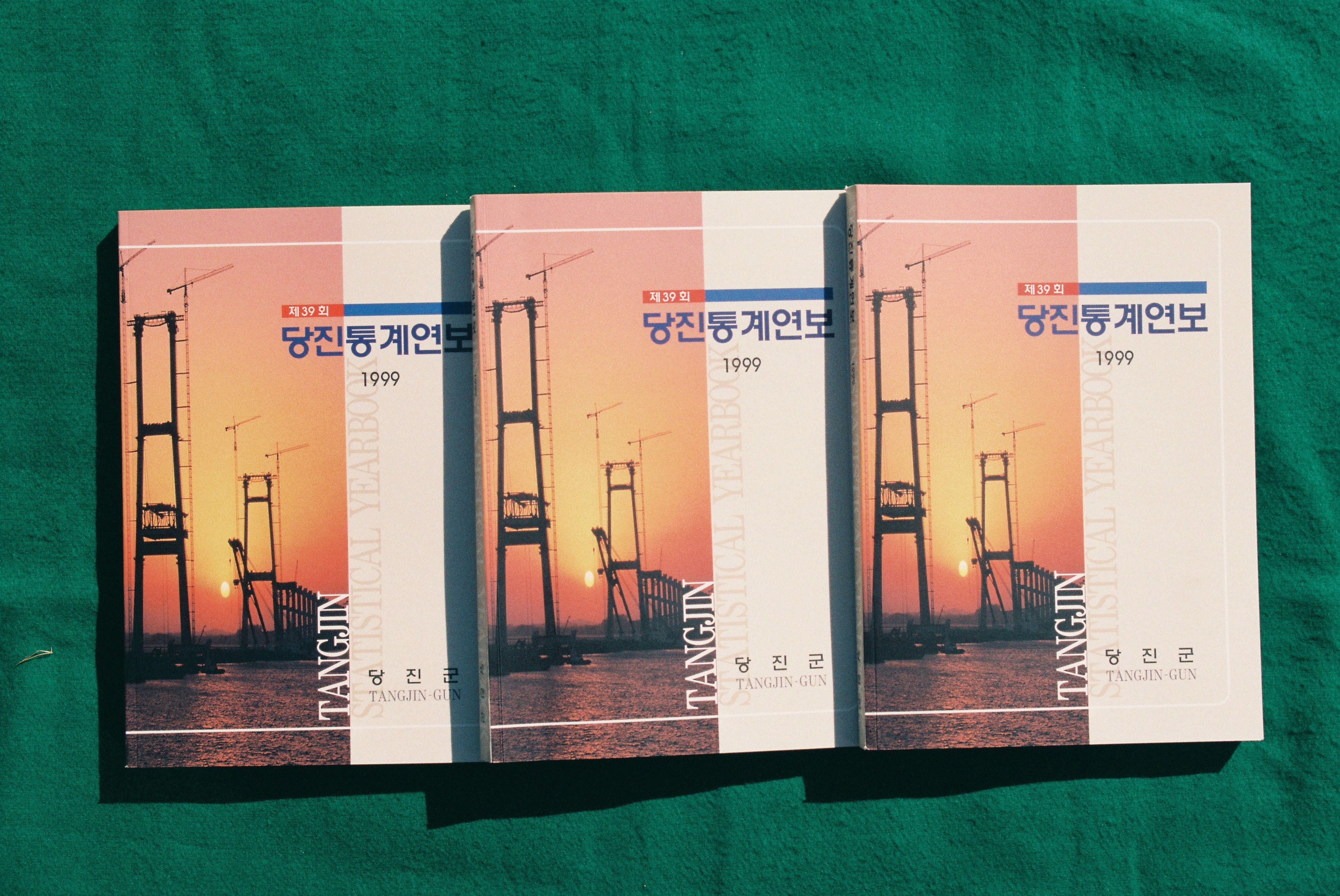 사진자료(1990년대)/1999/1999 당진통계연보 0/