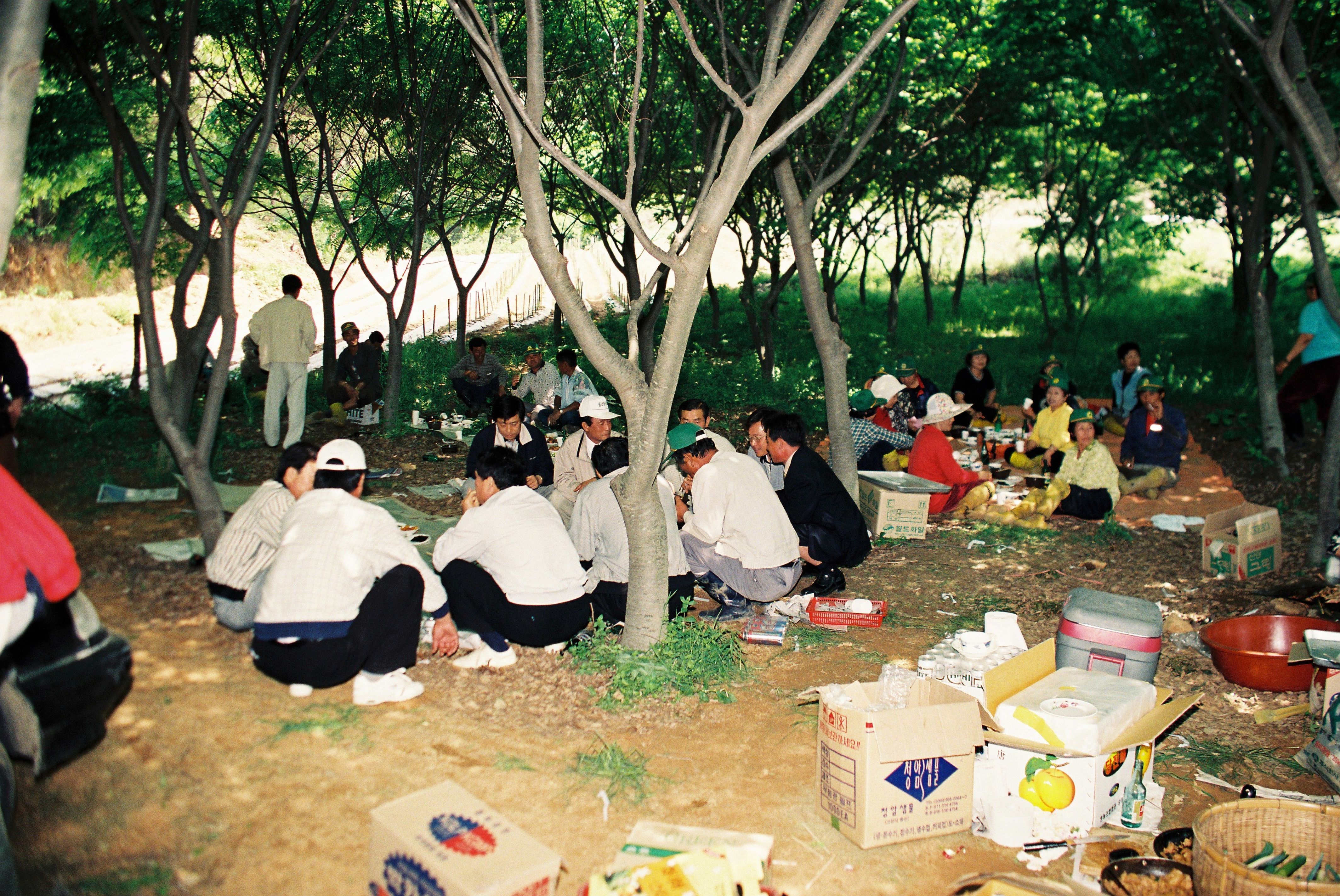 사진자료(1990년대)/1999/새마을 남녀 지도자 휴경지 모내기 0/