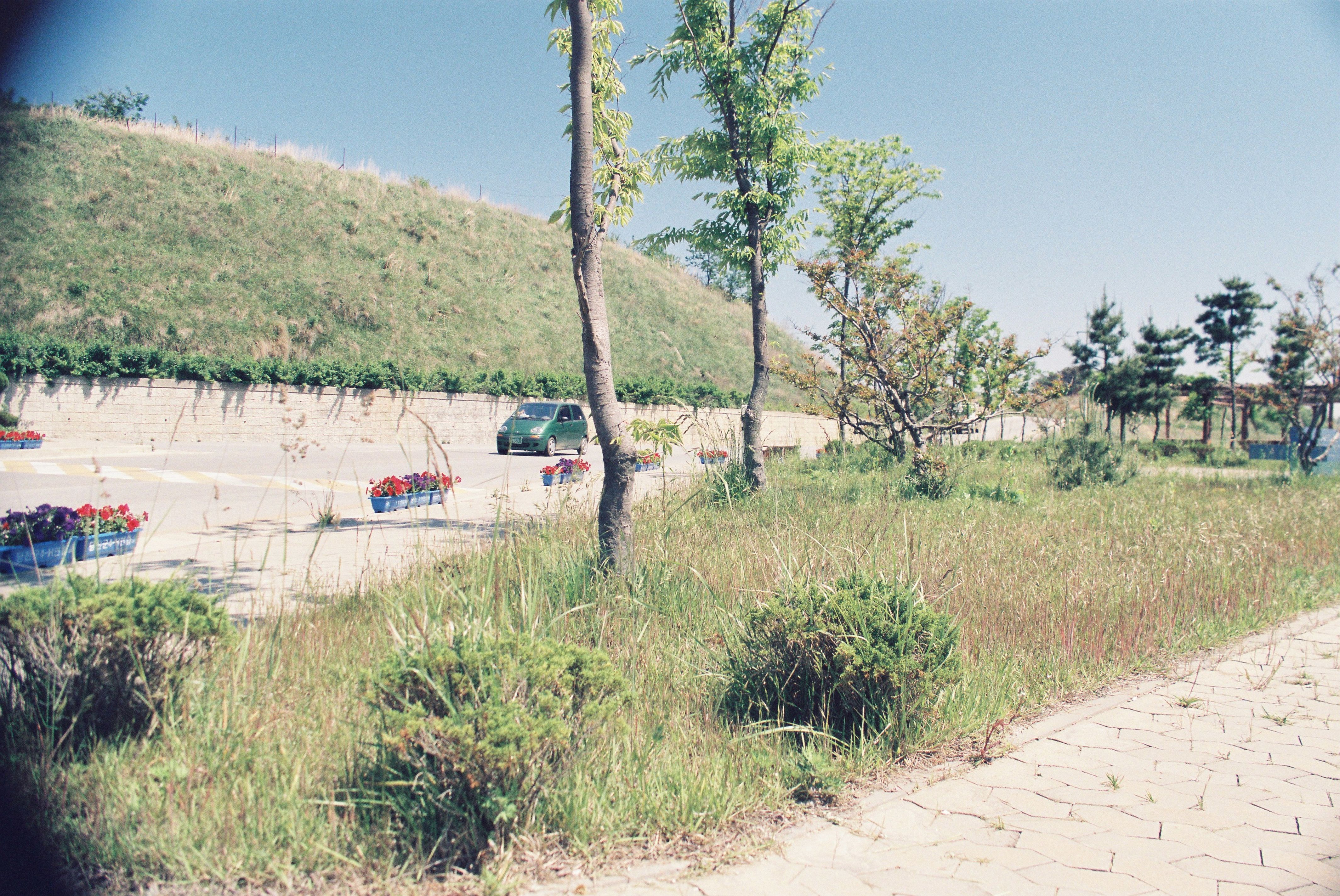 사진자료(1990년대)/1999/삽교호 공원 0/