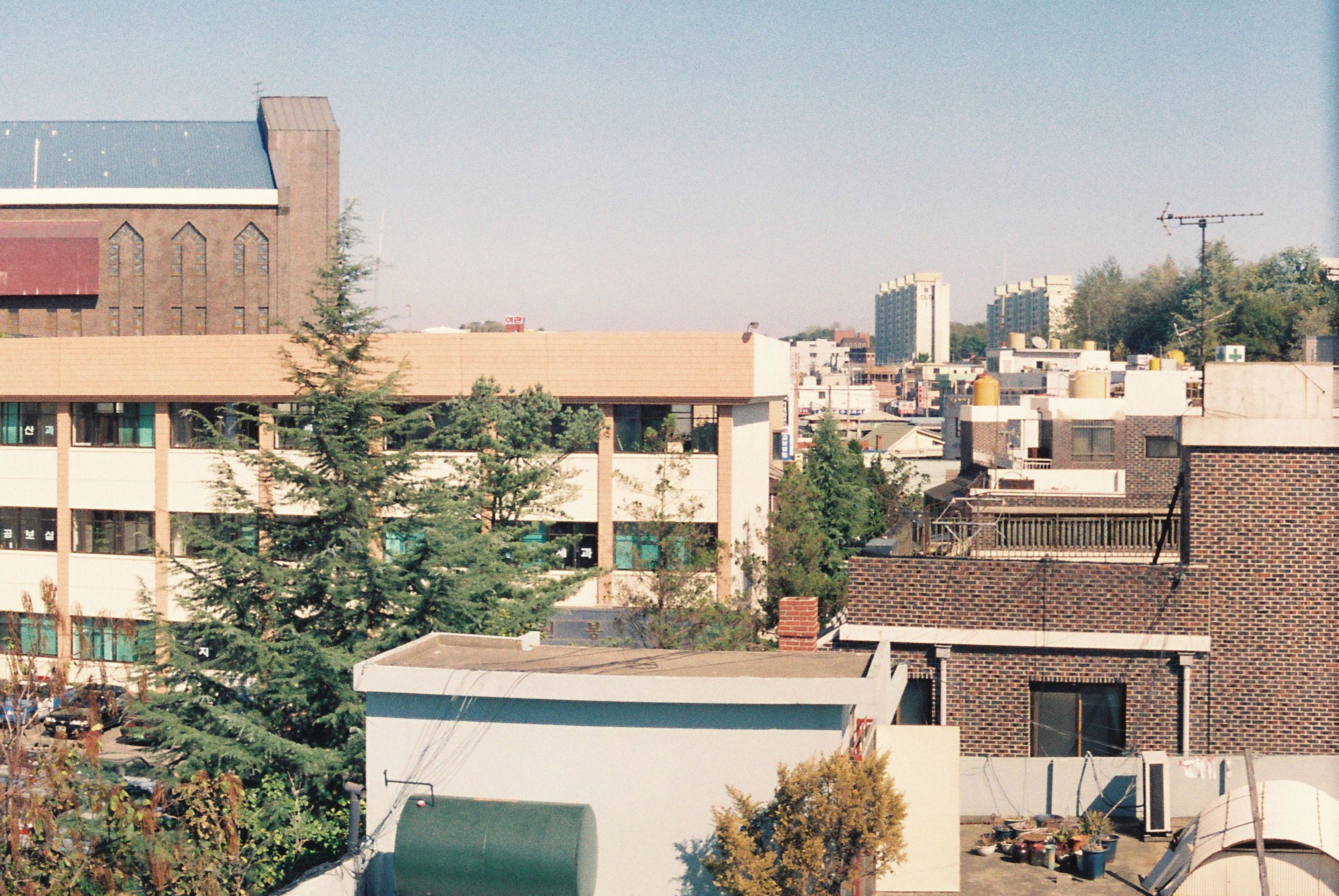 사진자료(1990년대)/1995/군청전경 1/