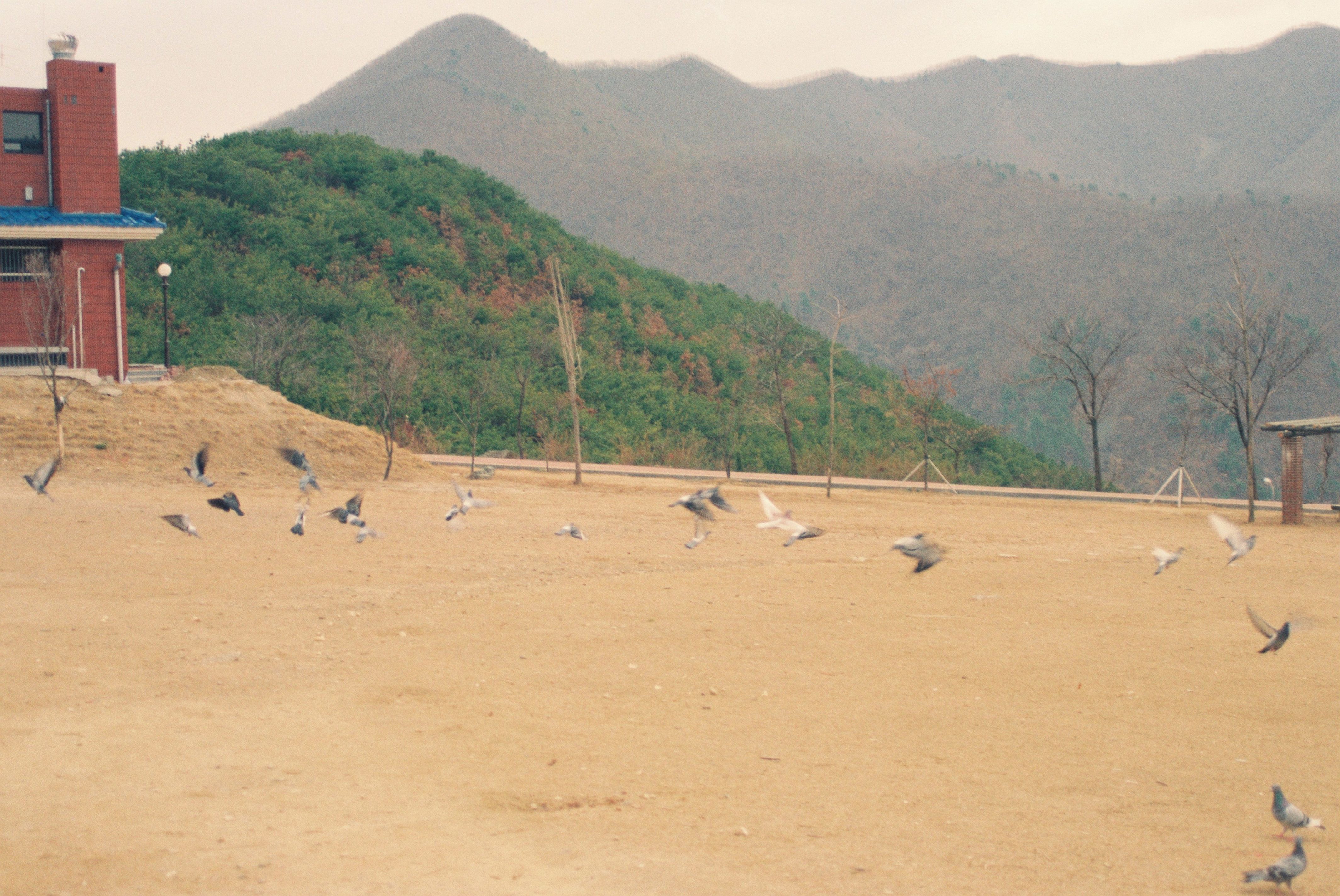 사진자료(1990년대)/1994/환경 주부 되기 운동, 교육 및 다짐 대회, 읍면장 확대 간부 회의 0/