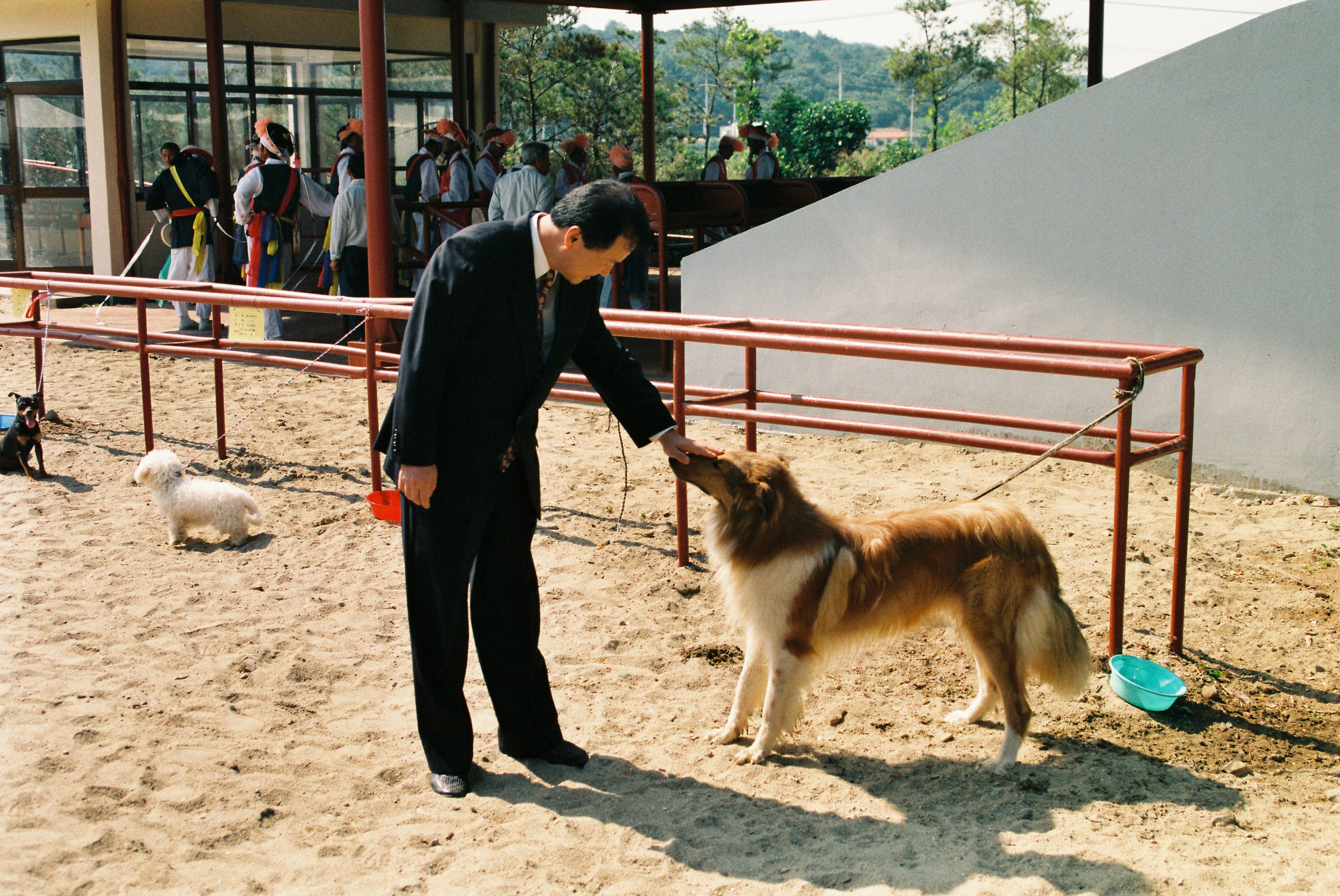 사진자료(1990년대)/1996/96 한우 경진 대회 0/