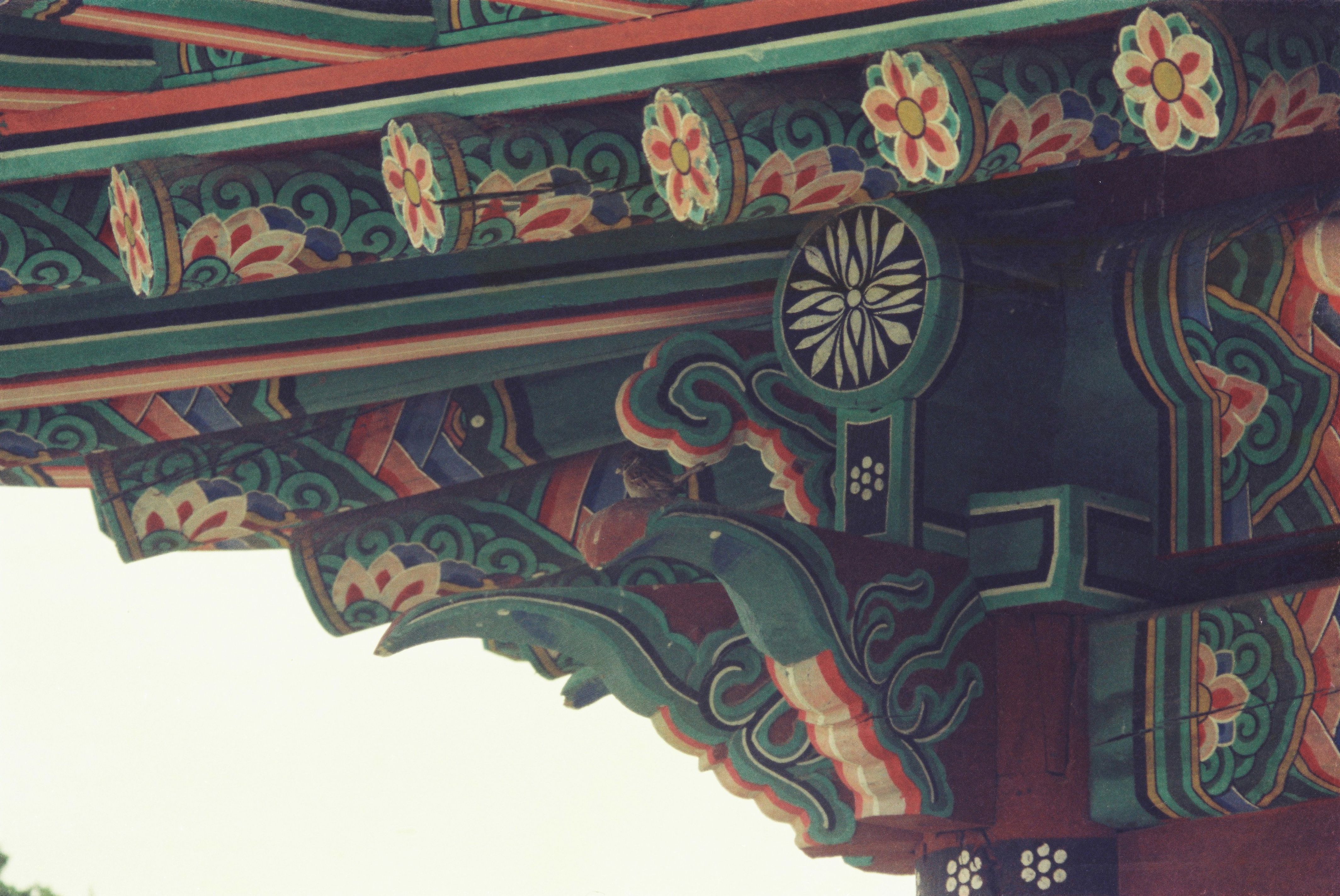 사진자료(1990년대)/1998/비닐 하우스, 식목일 행사(4. 5) 0/