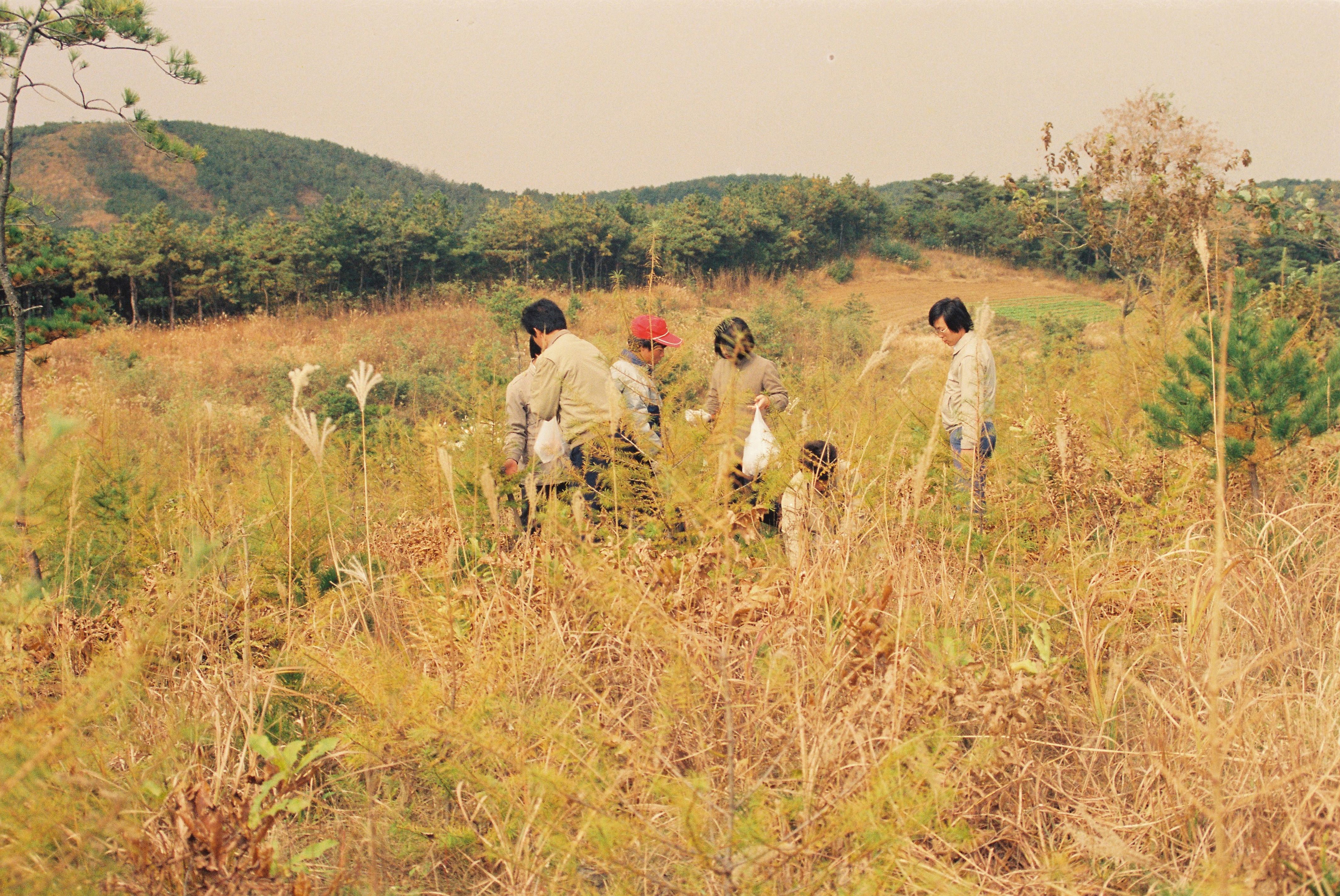 사진자료(1990년대)/1998/육림의 날 0/