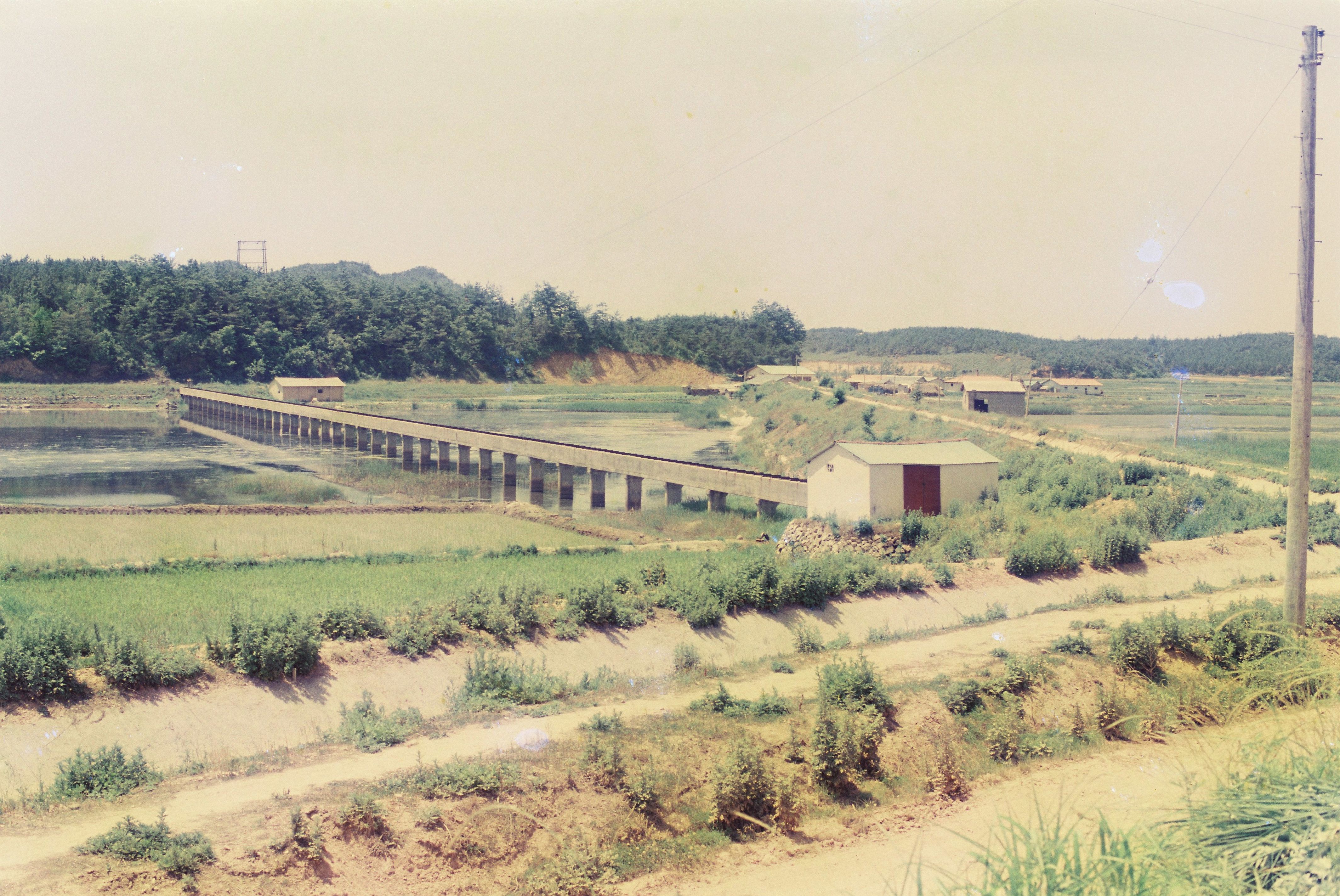 사진자료(1990년대)/1998/전통 가꾸기, 고란초 초락도 6. 17 2/