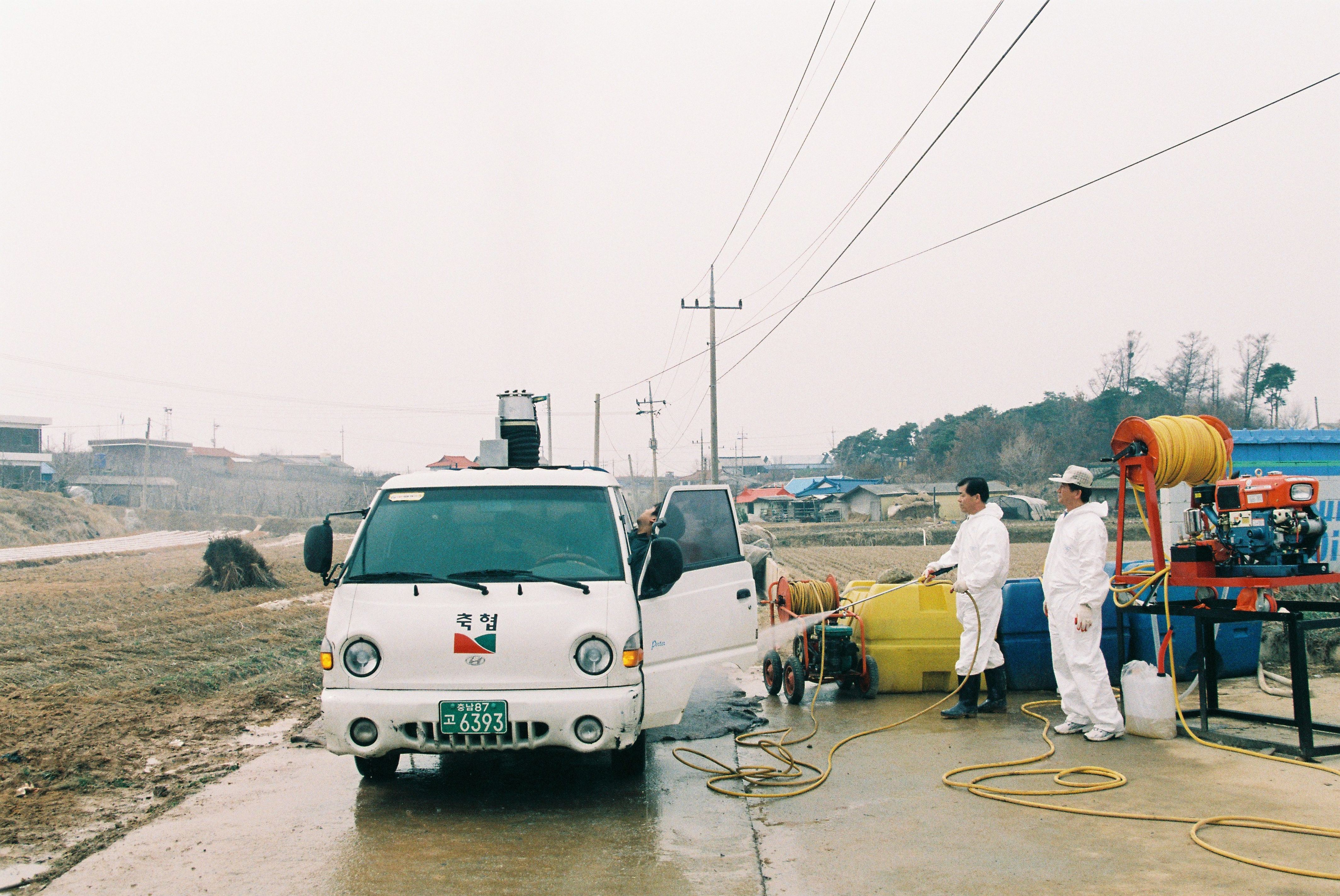 사진자료(2000년대)/2003/돼지 콜레라 긴급 차단 방역 5/