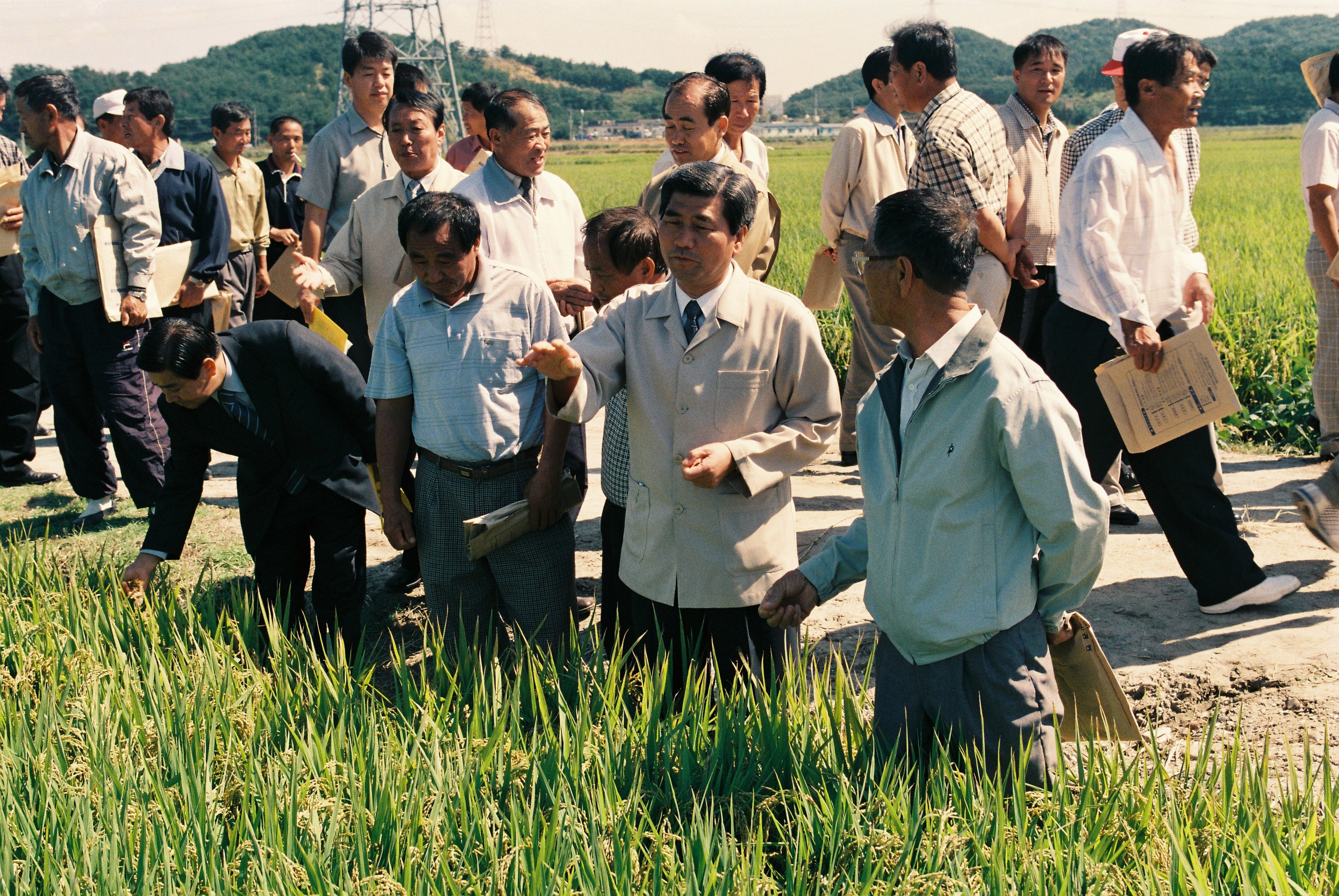 사진자료(2000년대)/2003/2003 벼농사 평가회 2/