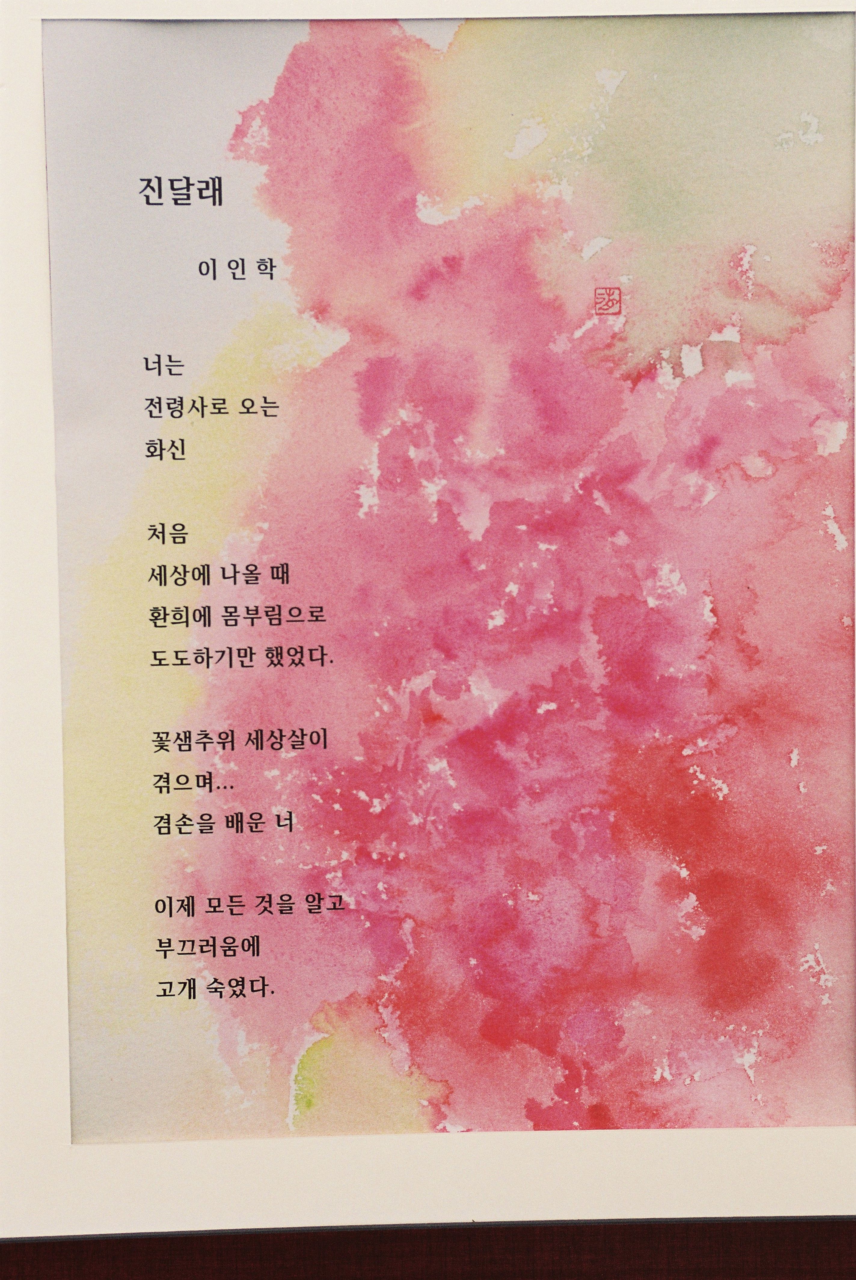 사진자료(2000년대)/2003/