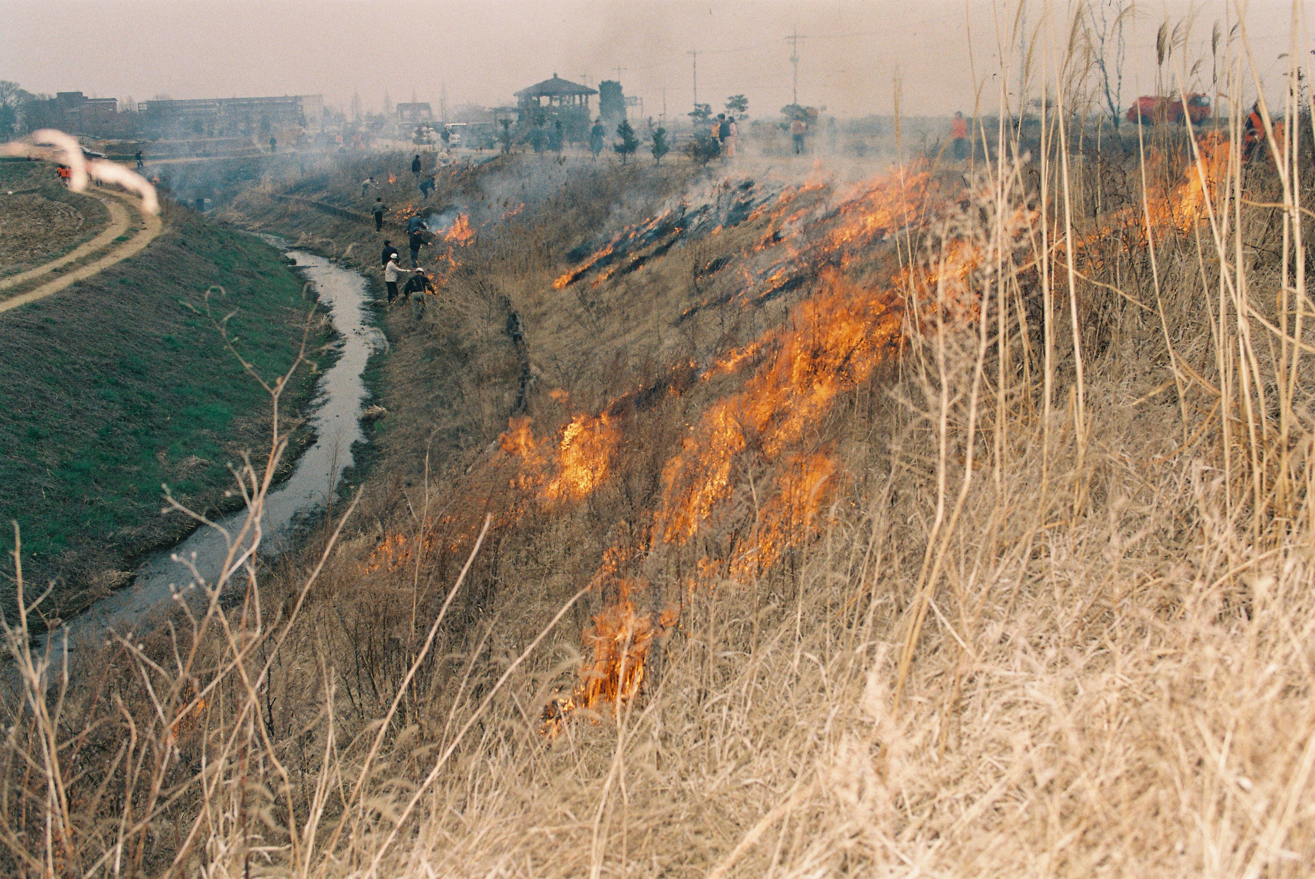 사진자료(2000년대)/2003/합덕제정비2 0/