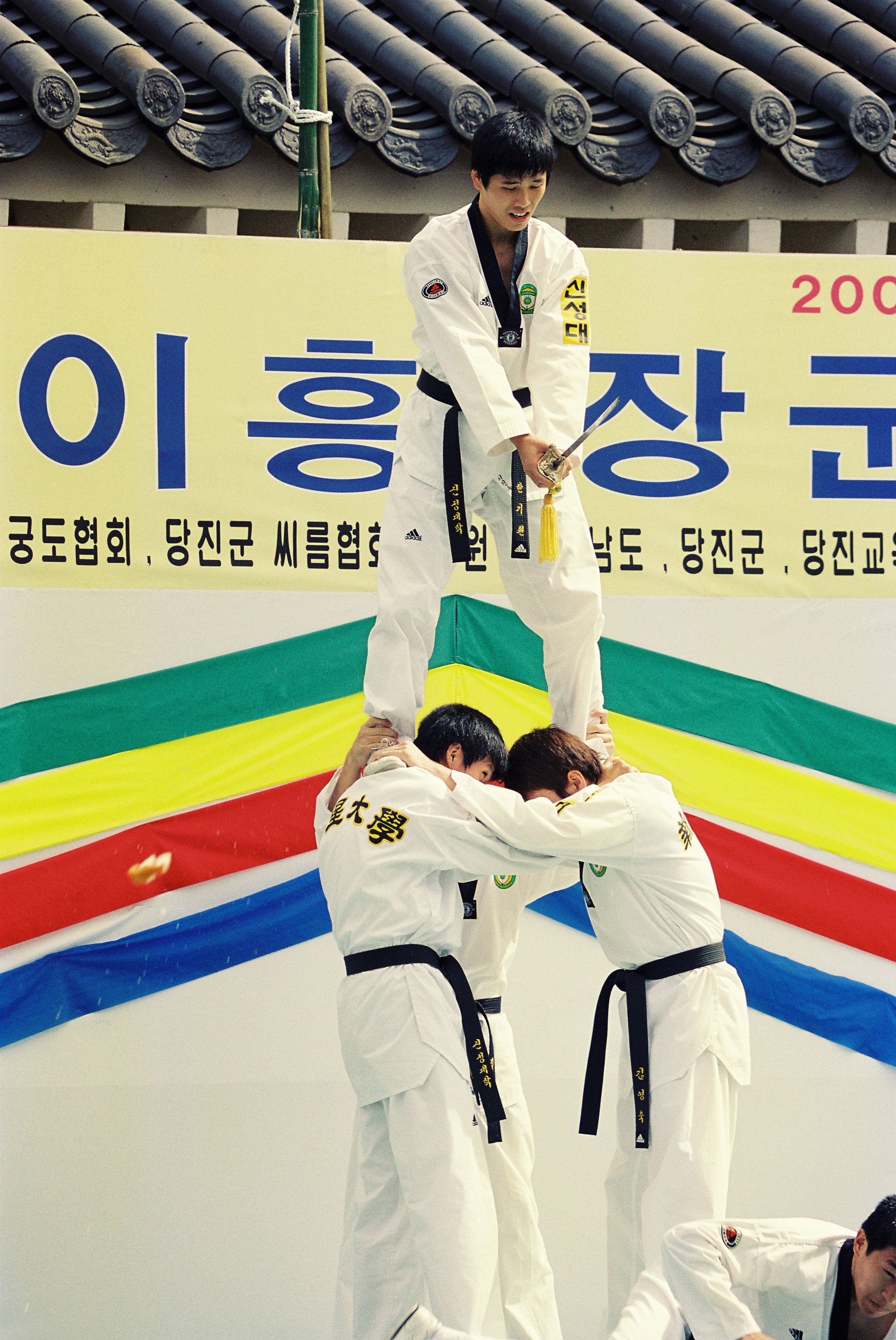 사진자료(2000년대)/2003/제 428주년 충장공 탄신기념 제 15회 남이흥 장군 문화제 0/