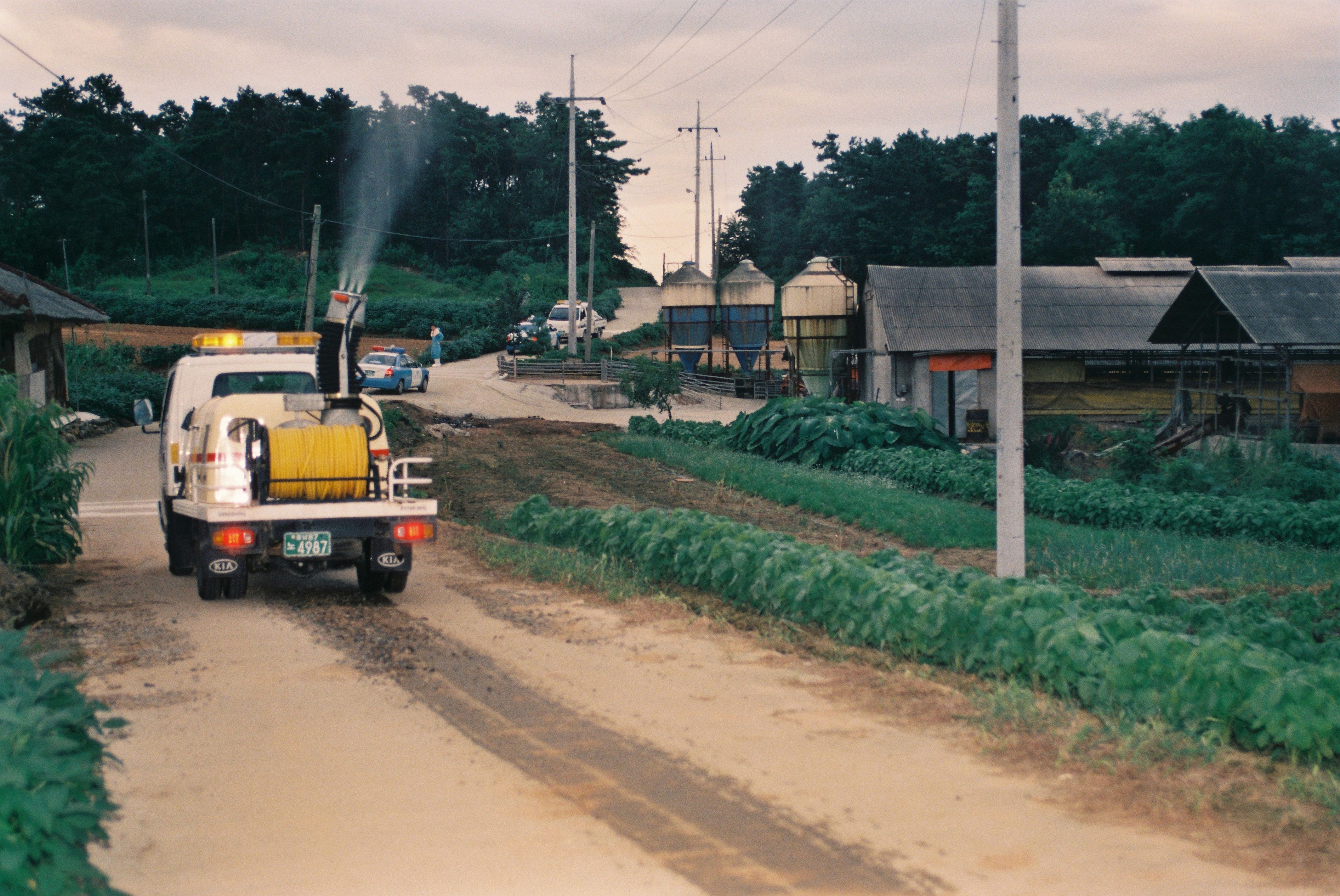 사진자료(2000년대)/2003/돼지 콜레라 발생 1/