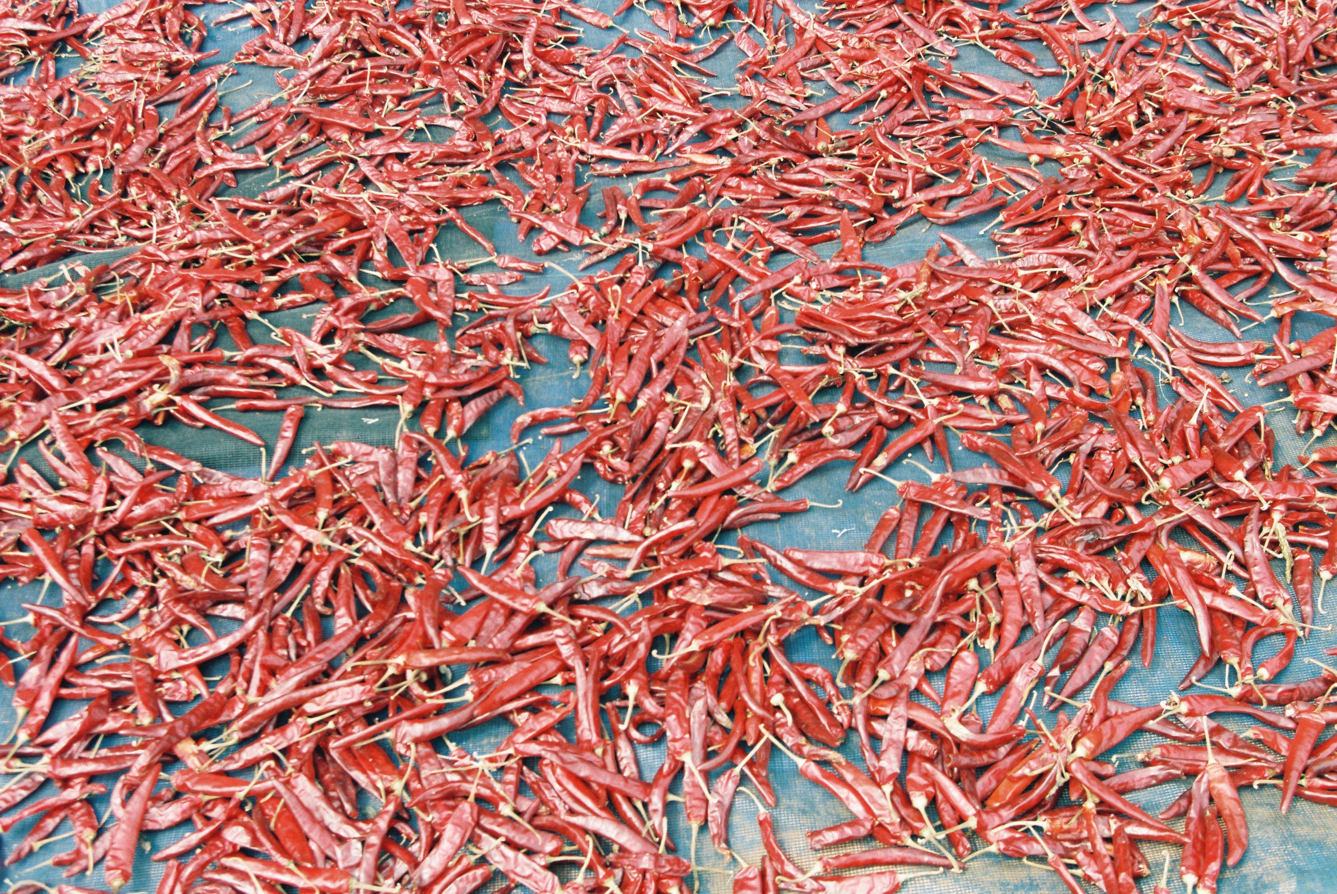사진자료(2000년대)/2002/수해복구(태풍) 0/