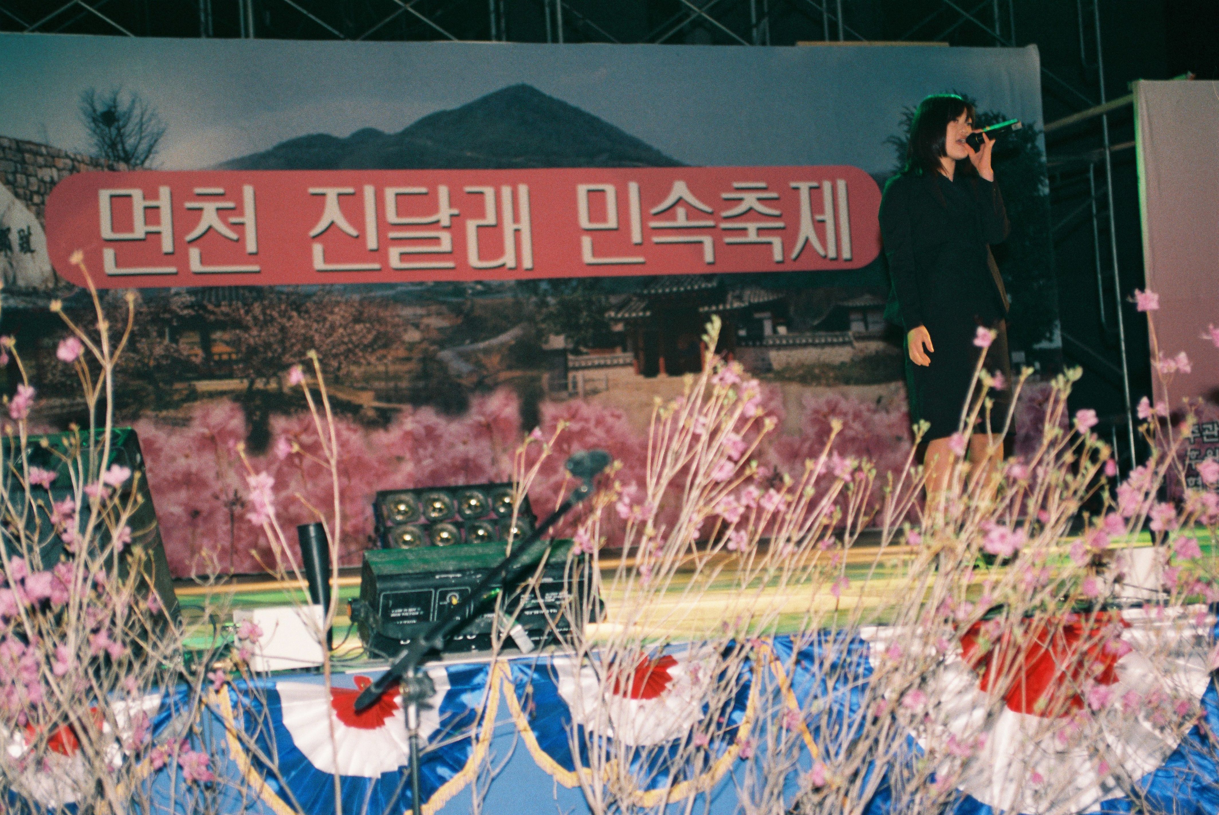 사진자료(2000년대)/2002/제 2회 면천 진달래 민속축제 3 1/