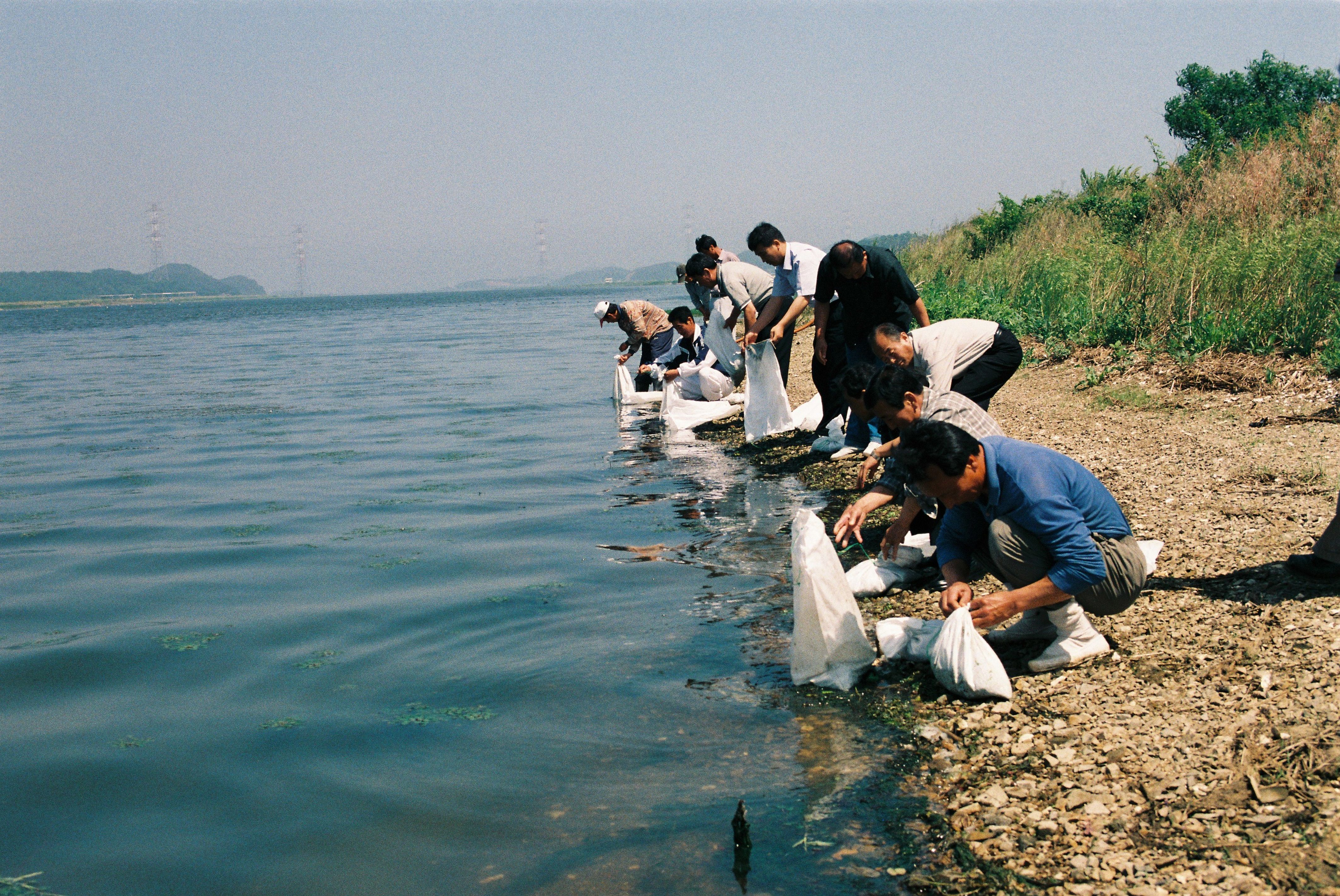 사진자료(2000년대)/2002/내수면 종묘 방류(자라)2 1/