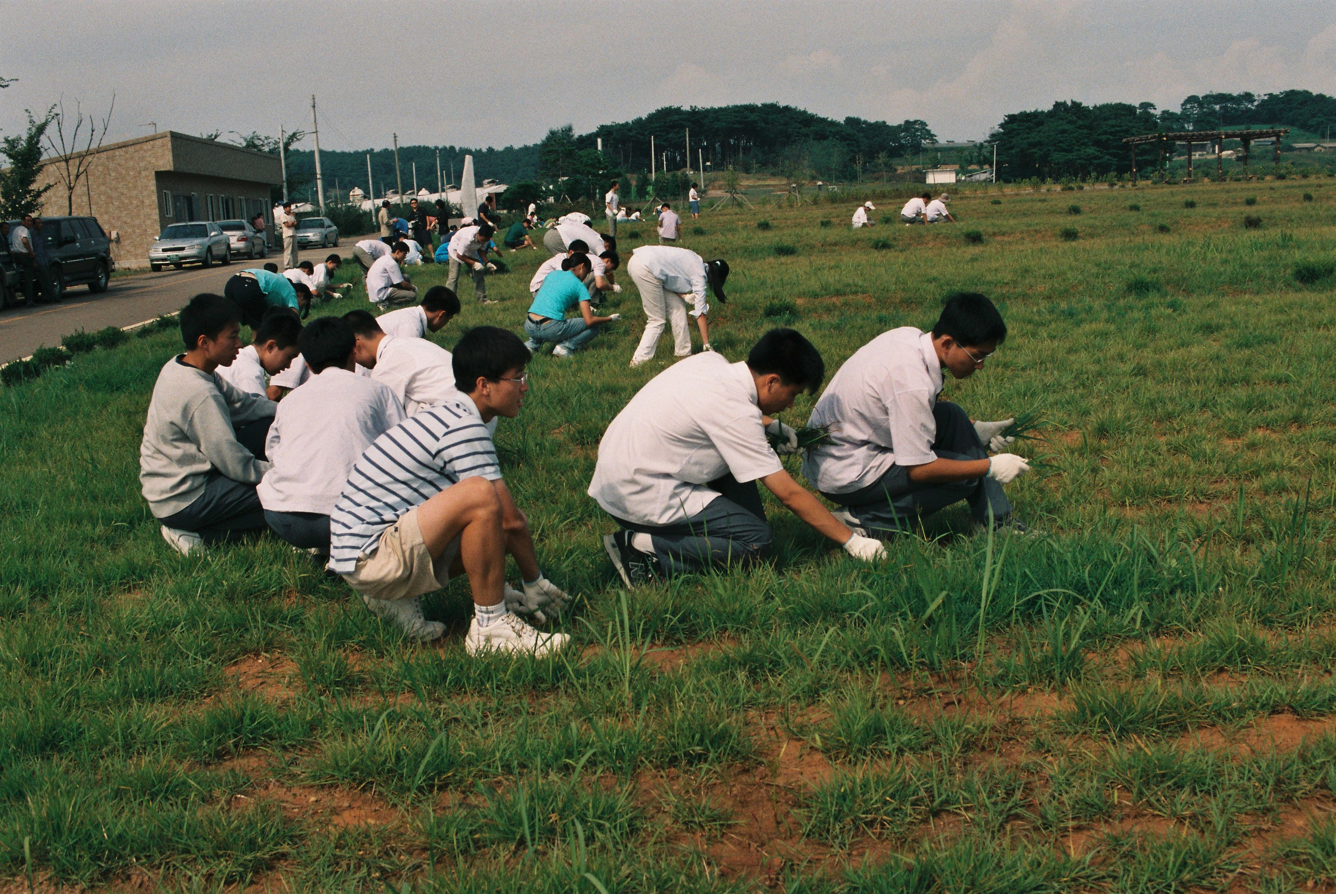 사진자료(2000년대)/2002/석문 공설 묘지 잡초 제거 0/