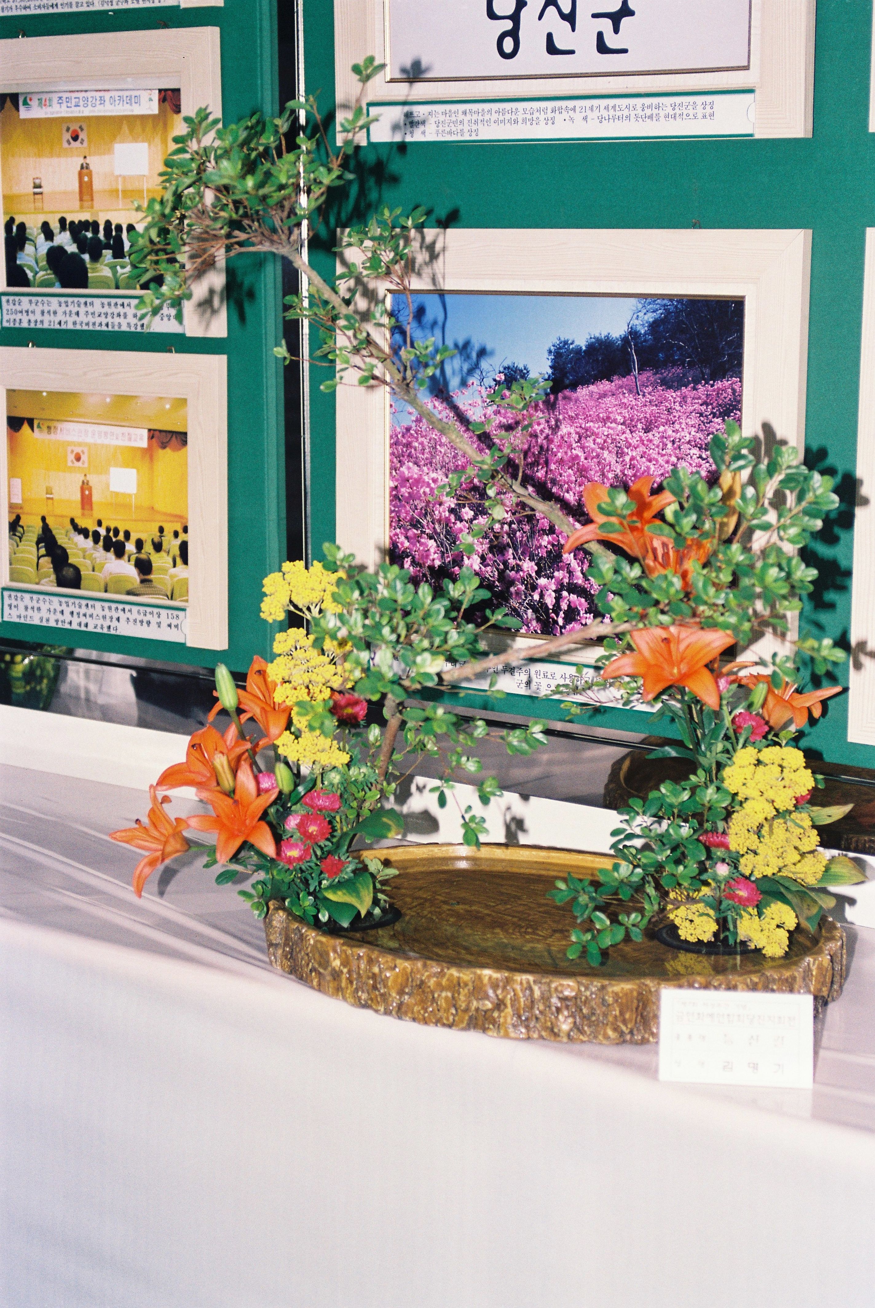 사진자료(2000년대)/2002/제7회 여성주간 기념 당진 여성 문화제 5 1/