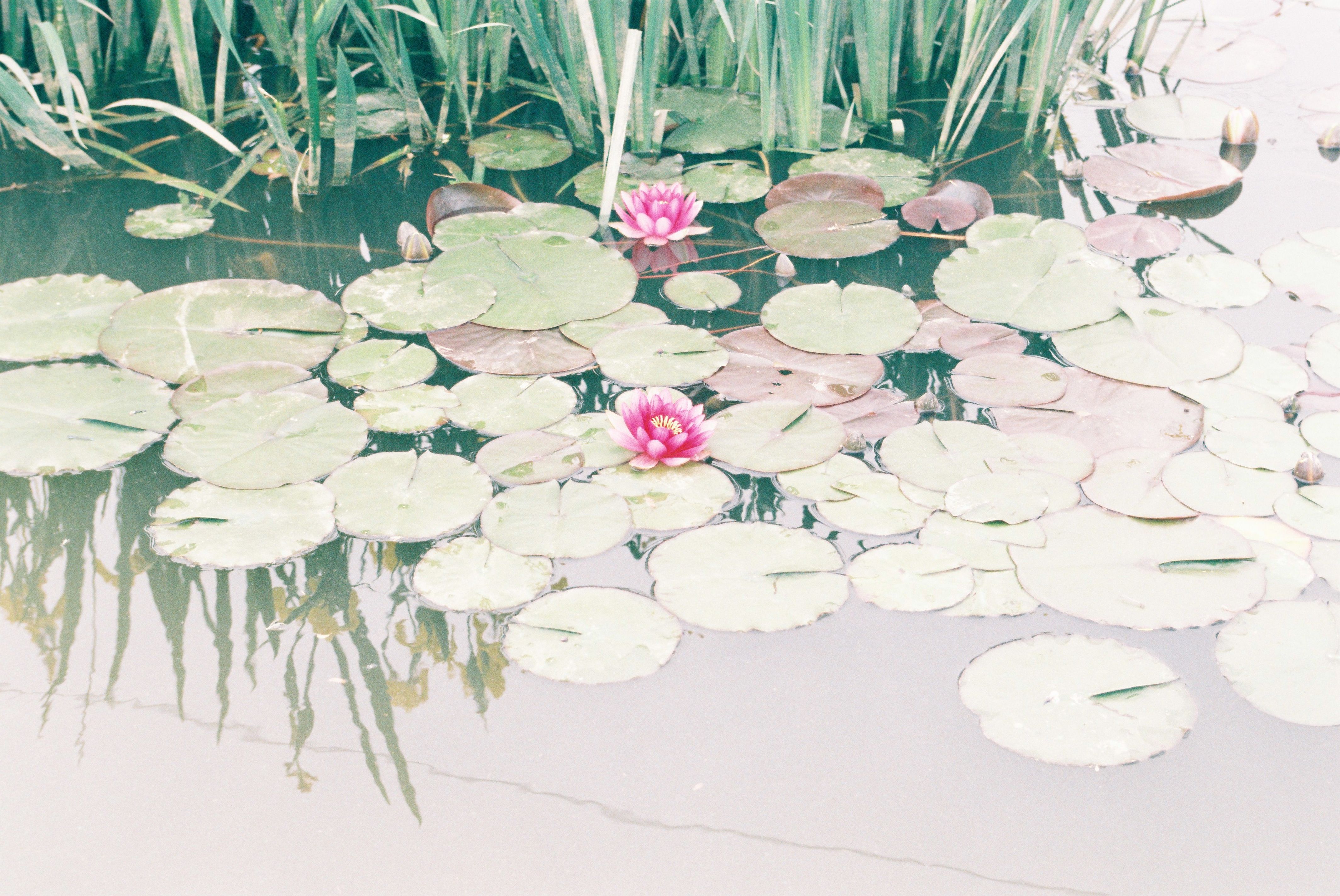사진자료(2000년대)/2002/벽골제4 0/