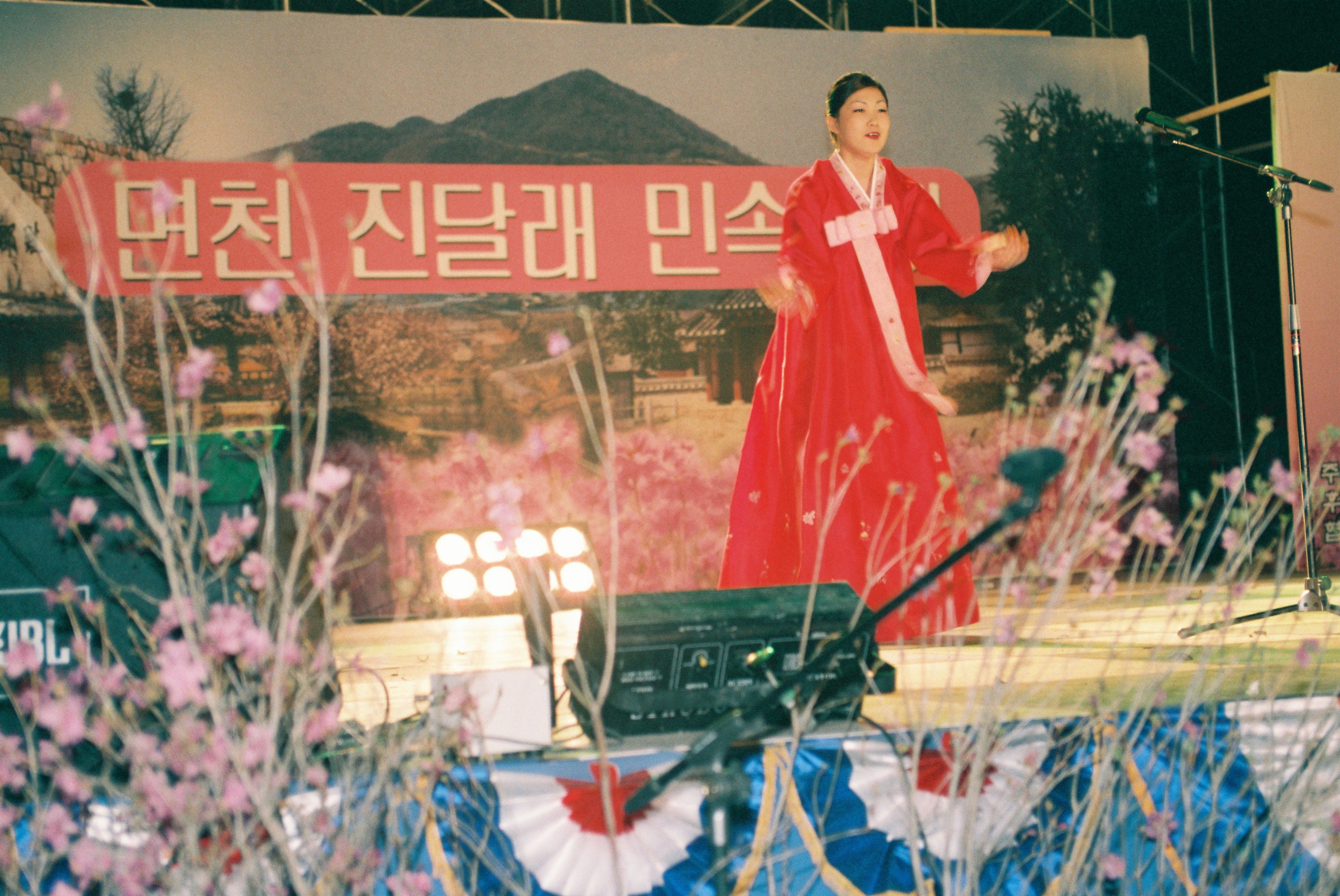 사진자료(2000년대)/2002/제 2회 면천 진달래 민속축제 5 0/