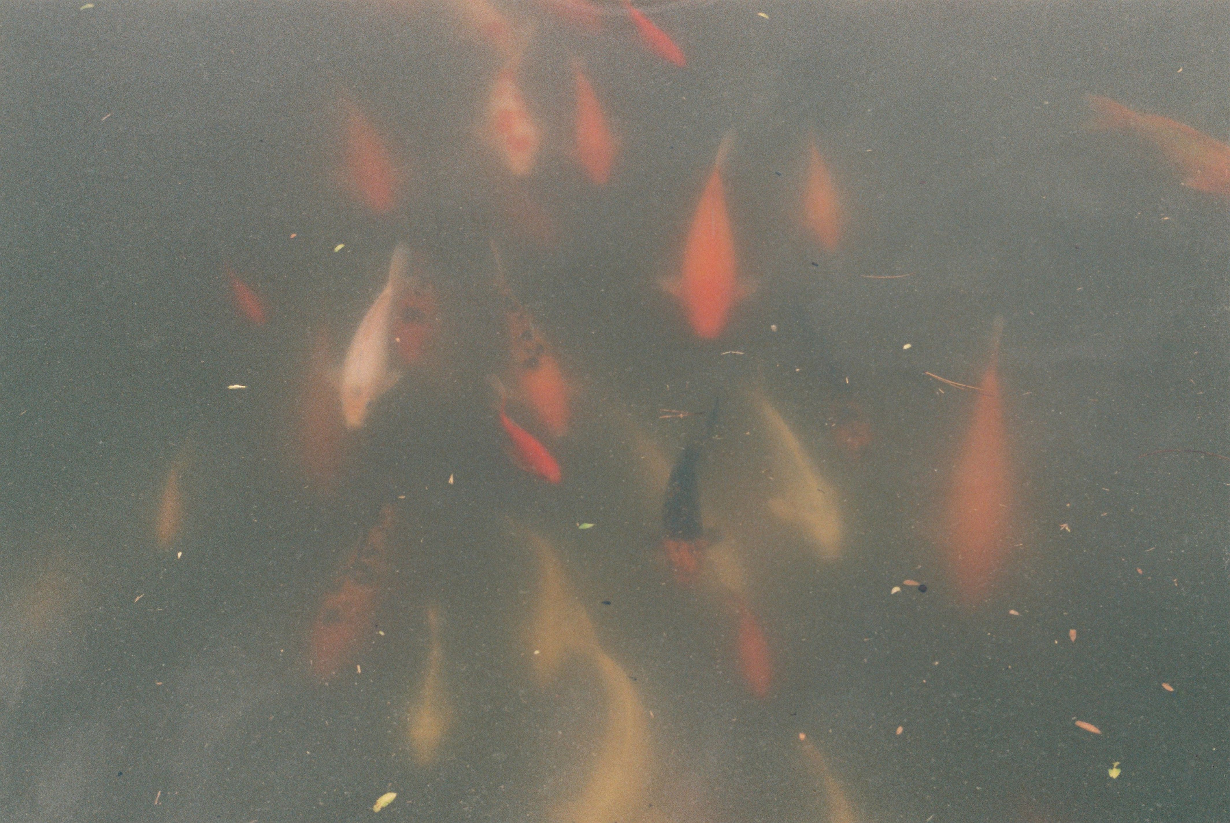 사진자료(2000년대)/2002/벽골제3 0/