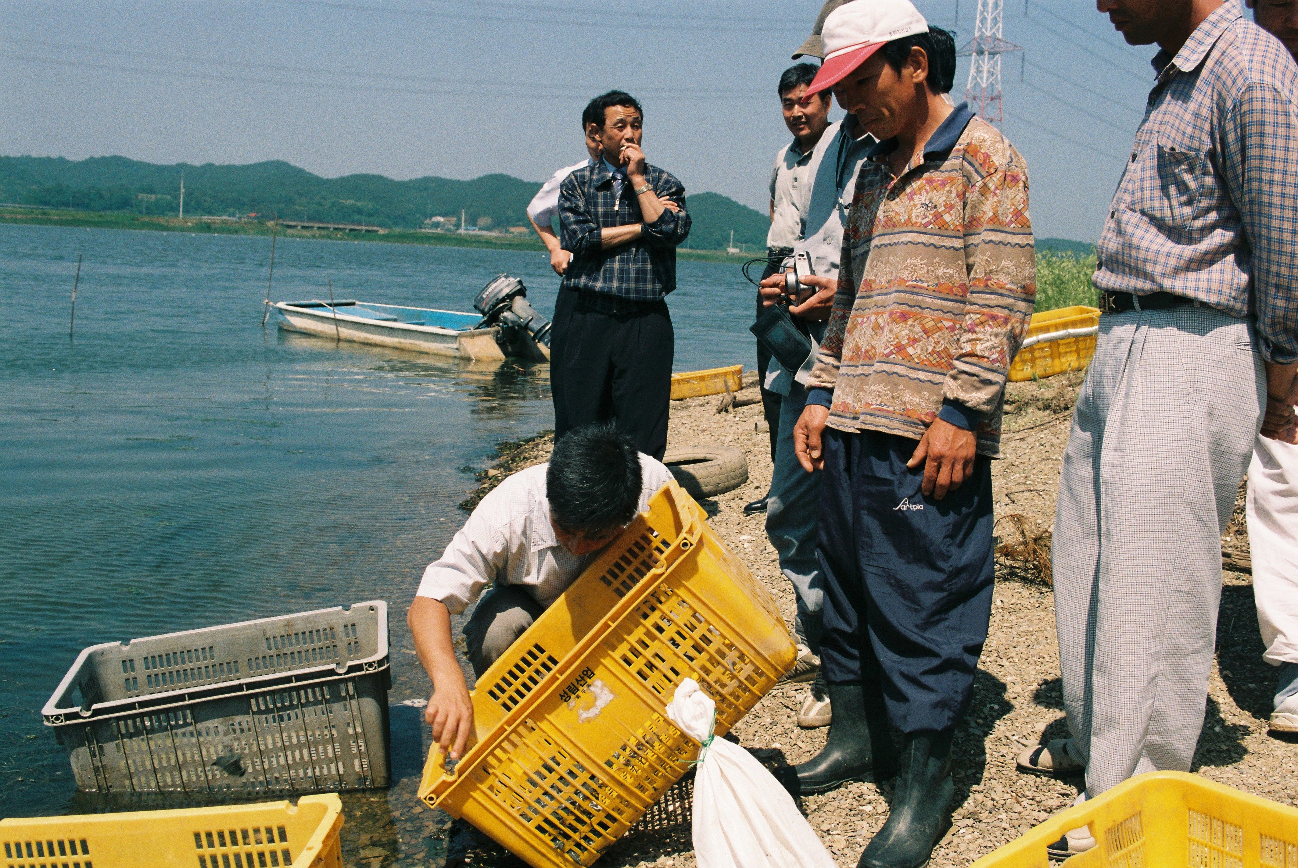 사진자료(2000년대)/2002/내수면 종묘 방류(자라)2 0/
