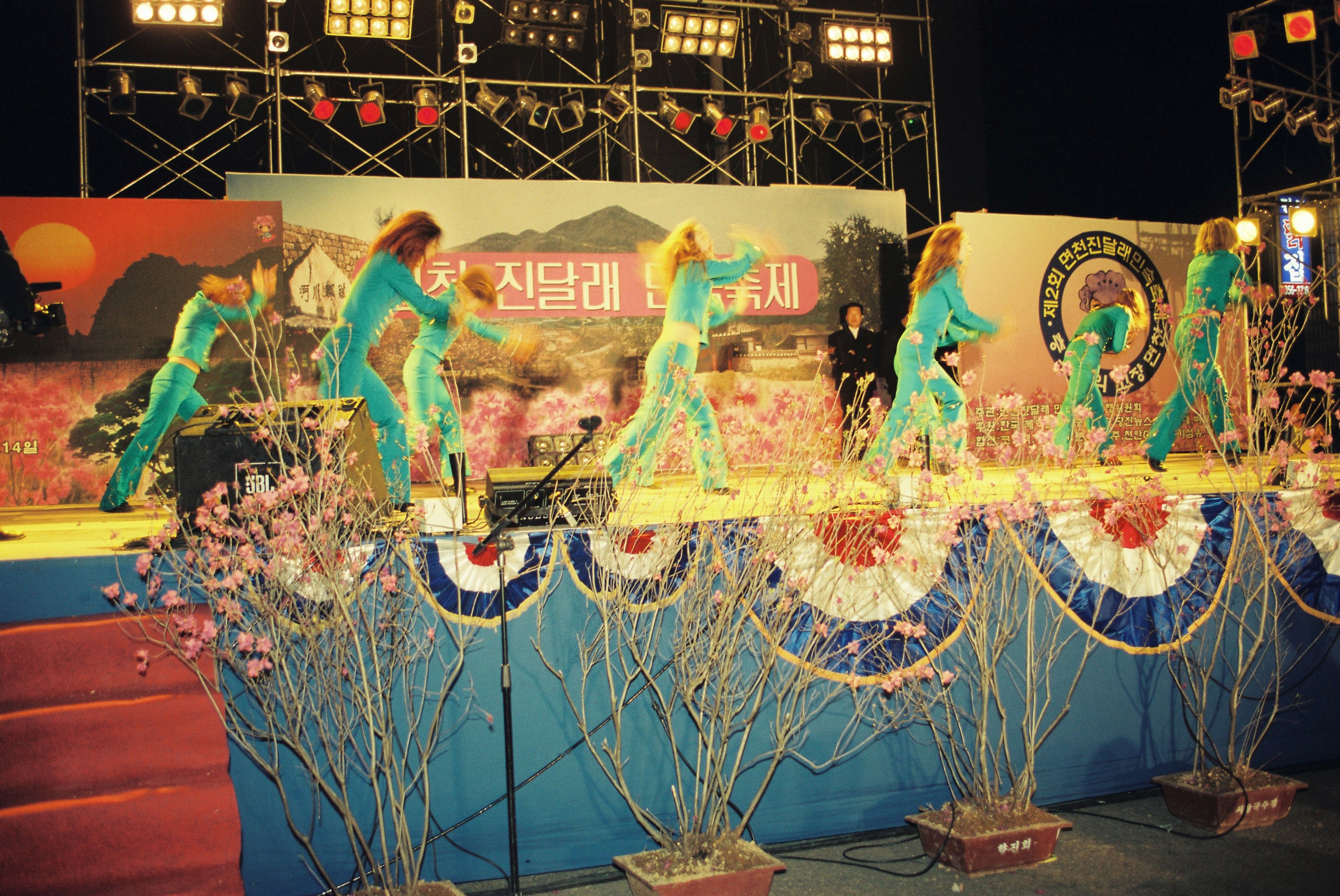사진자료(2000년대)/2002/제 2회 면천 진달래 민속축제 5 2/