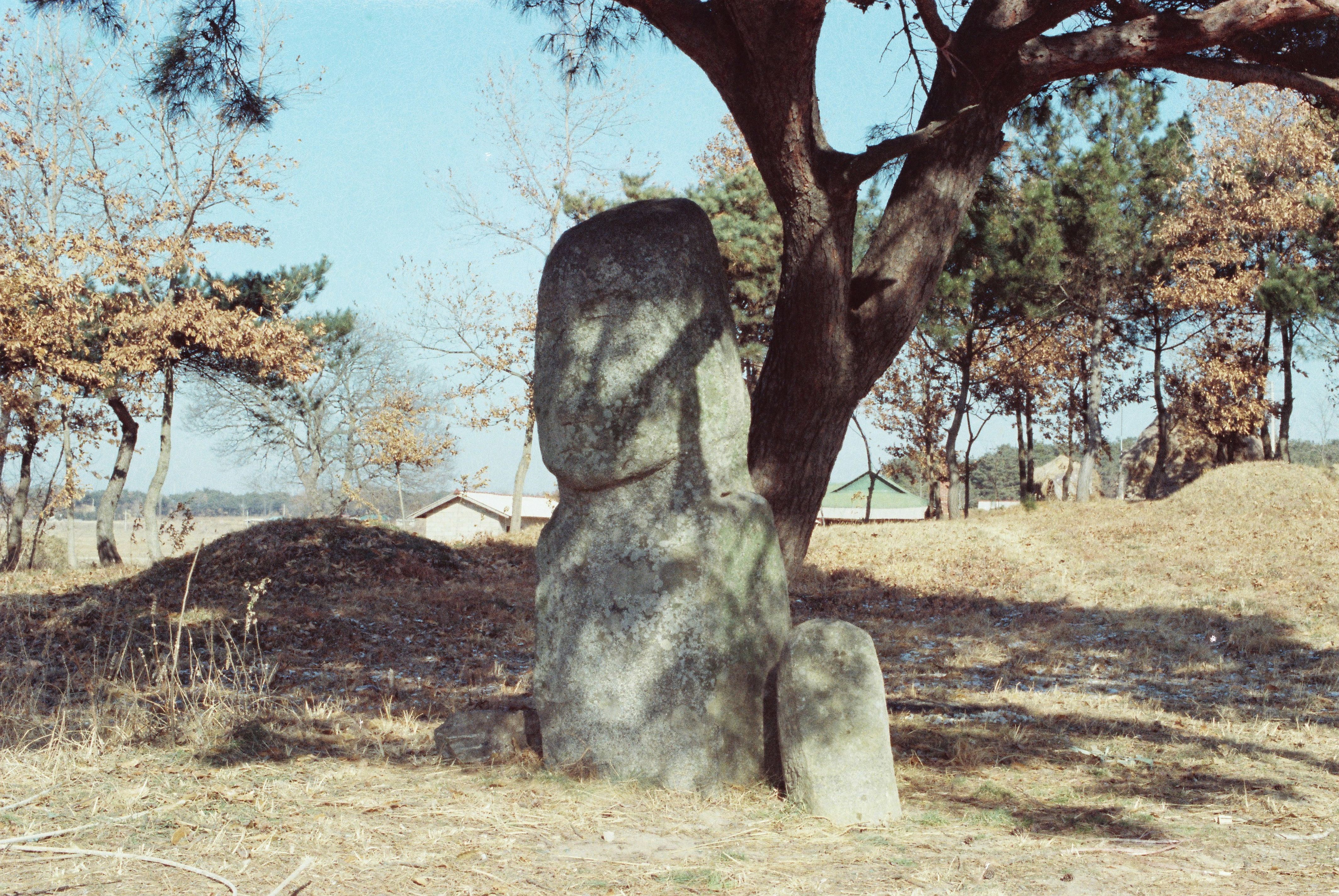 사진자료(연도미상)/연도미상/인사발령, 최정의 집, 심훈 용수로 충장사 전경 5/