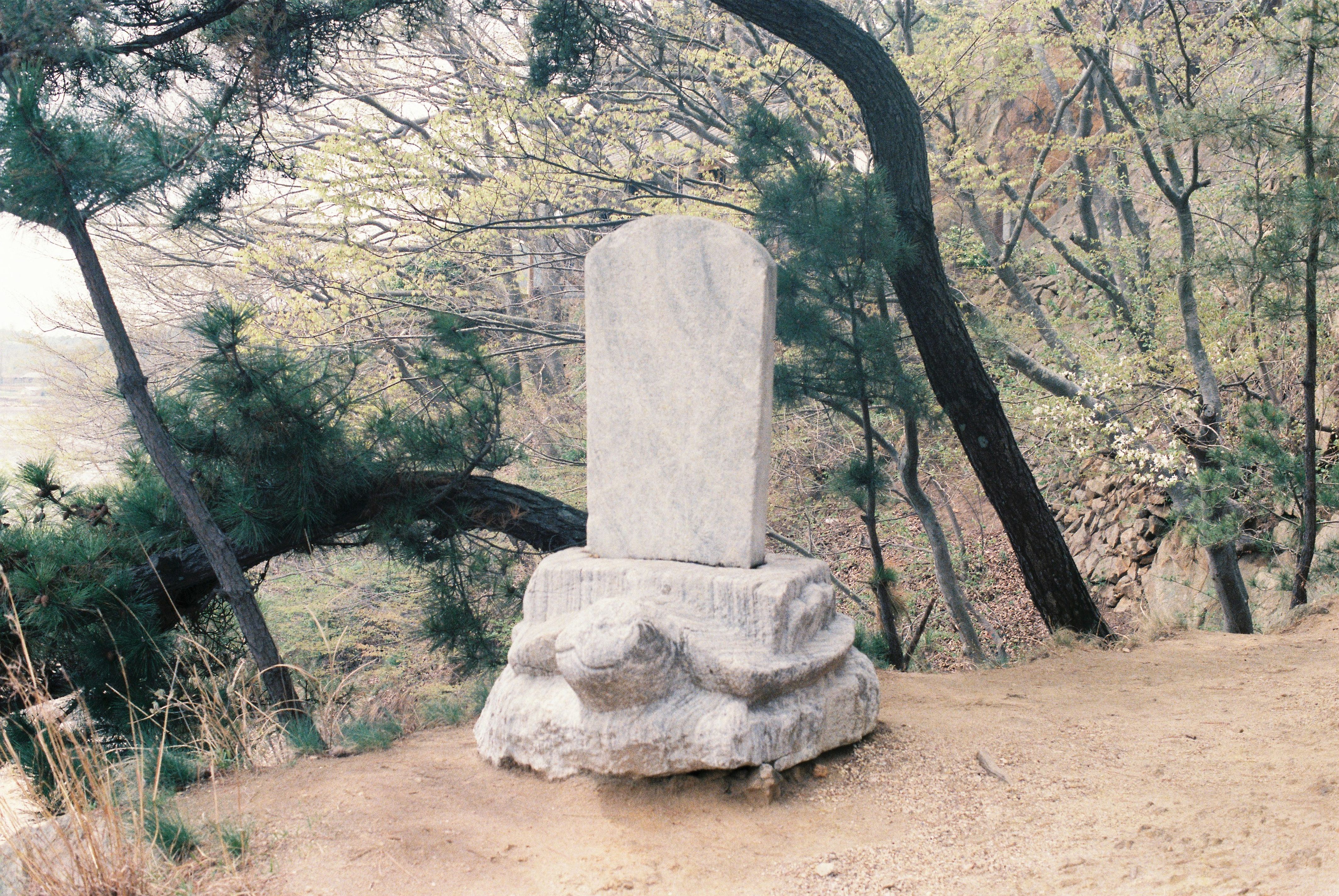 사진자료(연도미상)/연도미상/효자비 0/