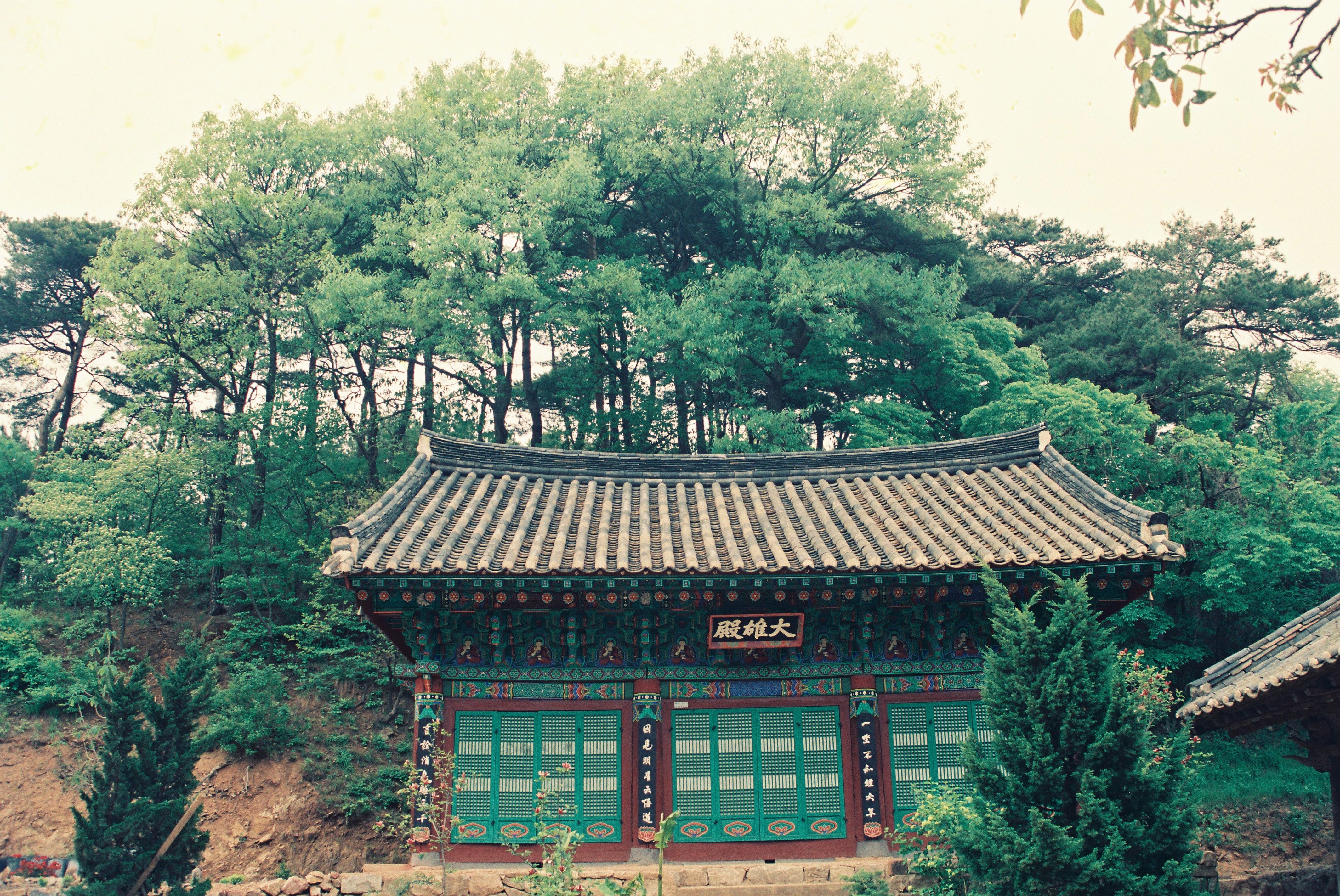 사진자료(연도미상)/연도미상/대웅전 0/