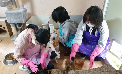 청소년동아리 사진