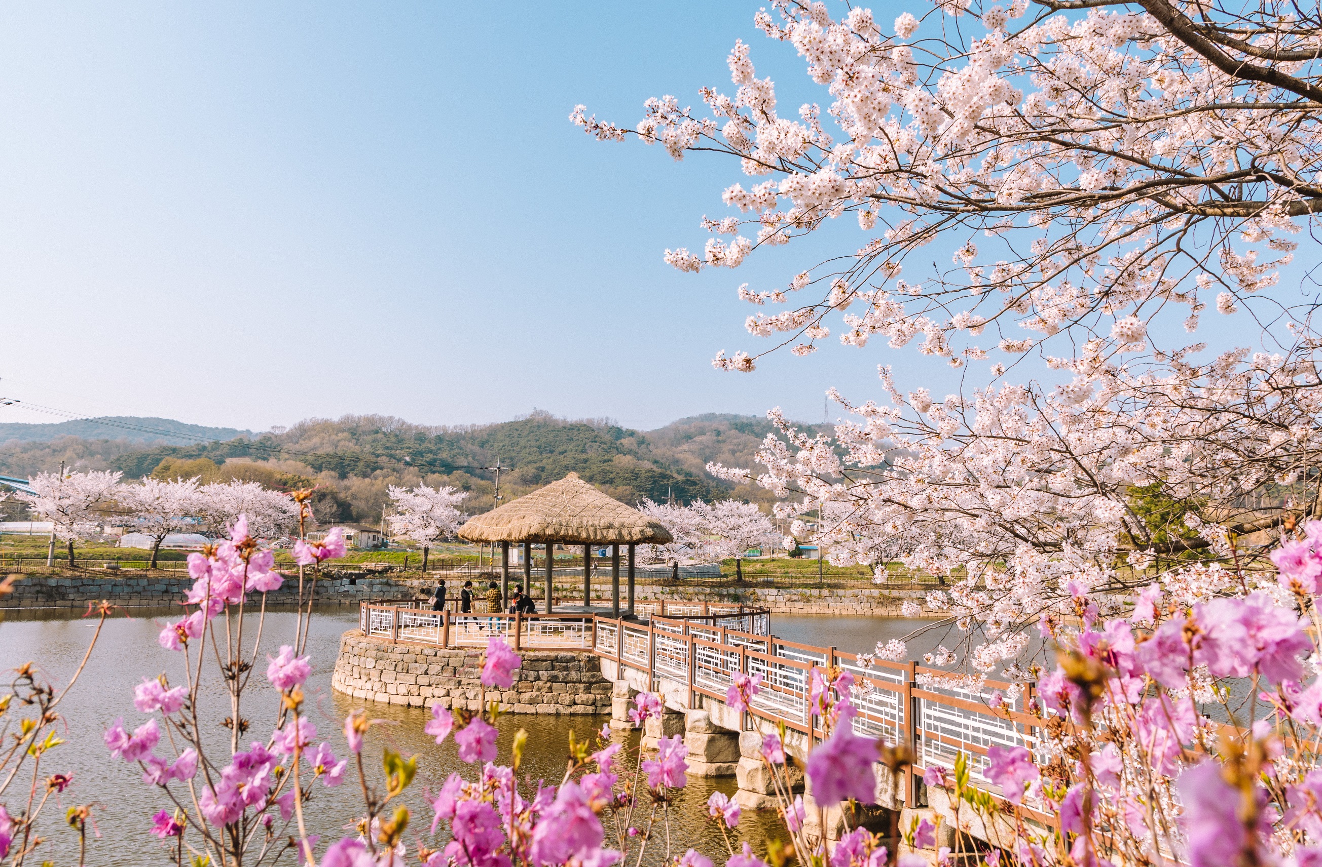 Spring of Goljeongji Pond