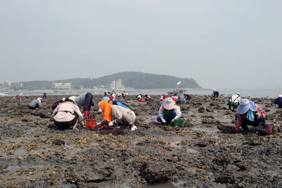 Hanjin Manila Clam Festival 