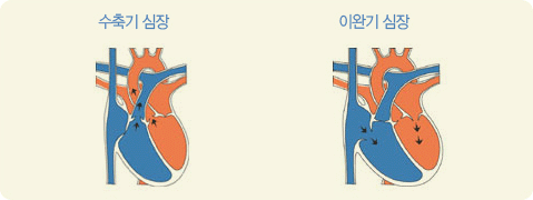 수축기 혈압이란?