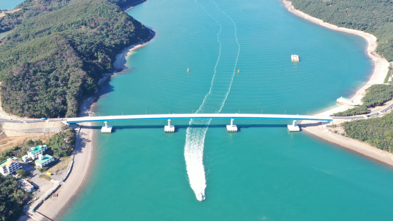 蘭芝大橋